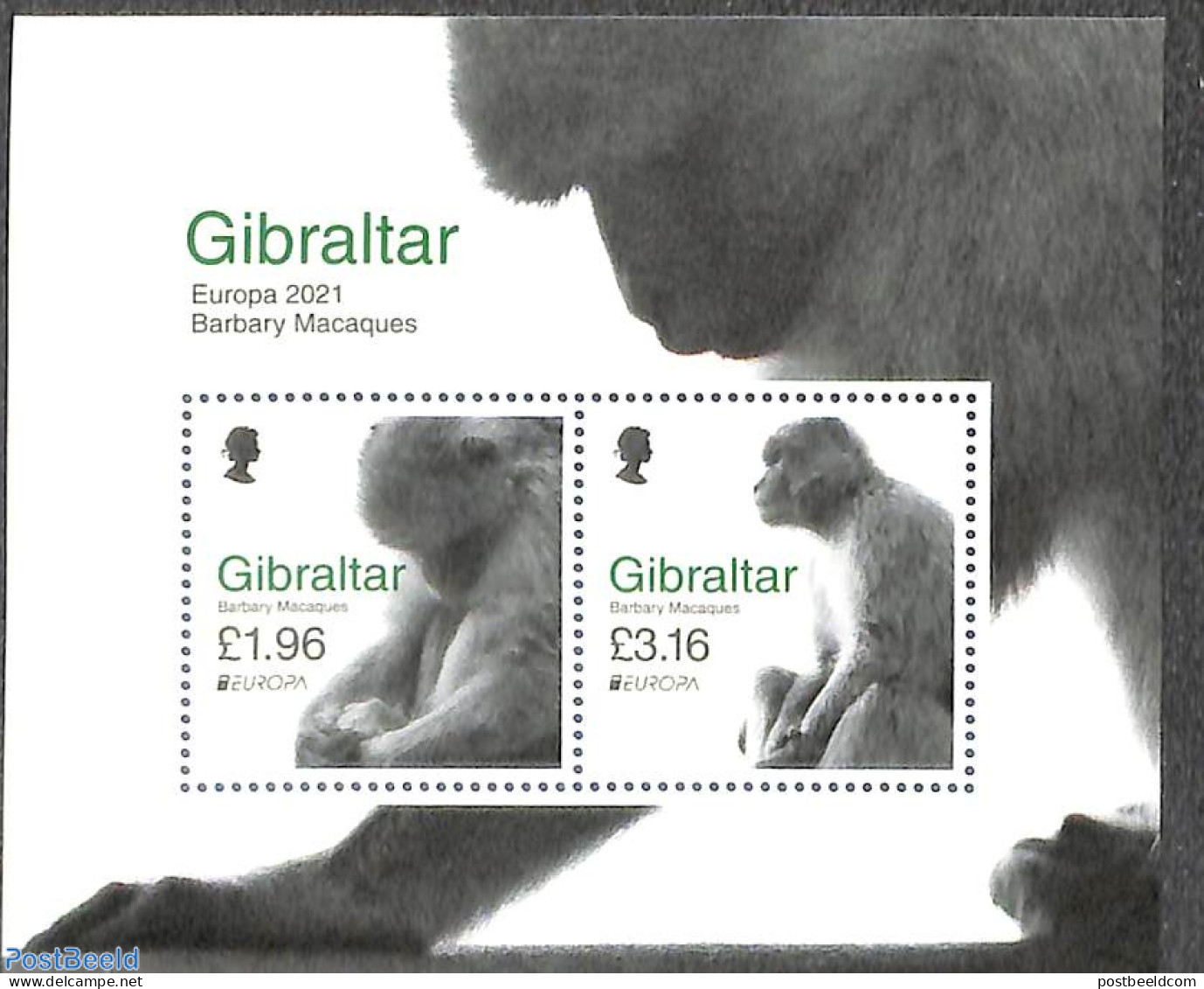 Gibraltar 2021 Europa, Endangered Animals S/s, Mint NH, History - Nature - Europa (cept) - Animals (others & Mixed) - .. - Gibraltar