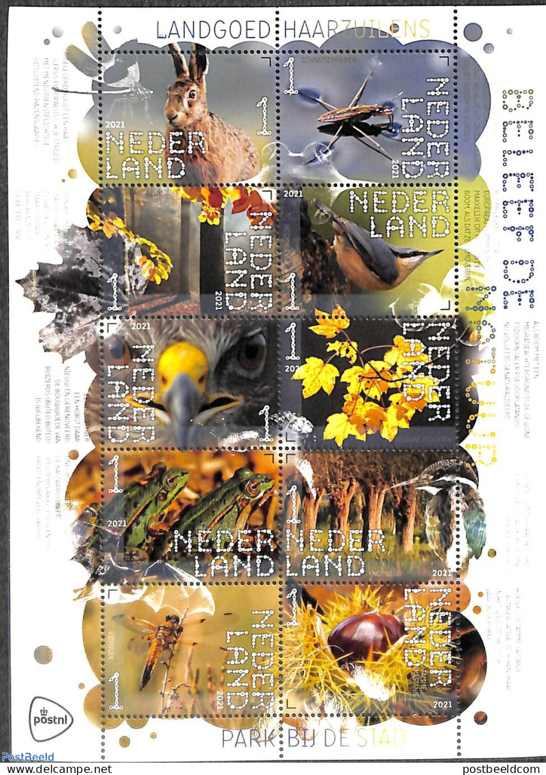 Netherlands 2021 Nature, Haarzuilens 10v M/s S-a, Mint NH, Nature - Birds - Frogs & Toads - Insects - Rabbits / Hares - Unused Stamps