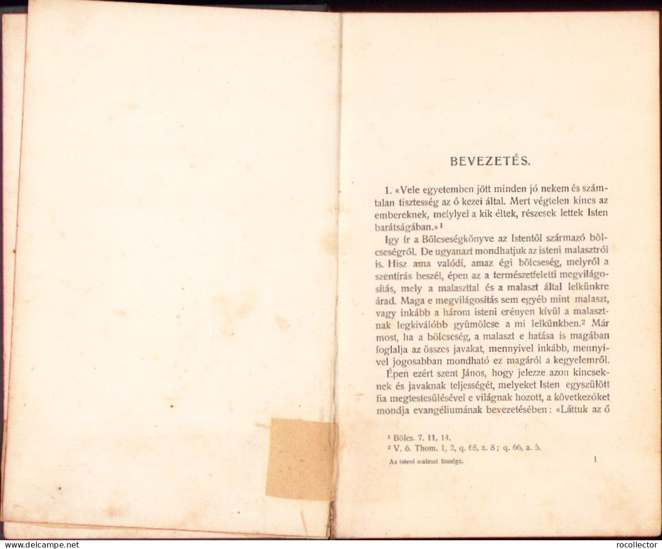 Az Isteni Malaszt Fensége Irta Scheeben József, 1905, Budapest C4311N - Libros Antiguos Y De Colección