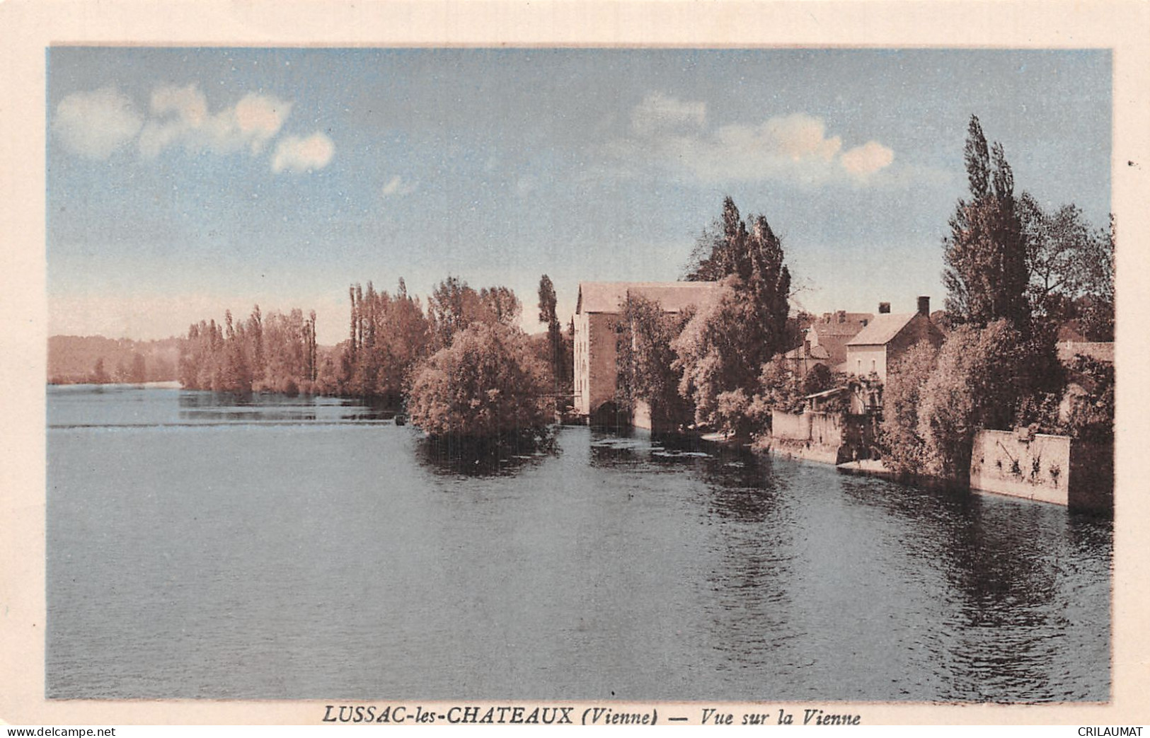 86-LUSSAC LES CHATEAUX-N°T2922-E/0283 - Lussac Les Chateaux