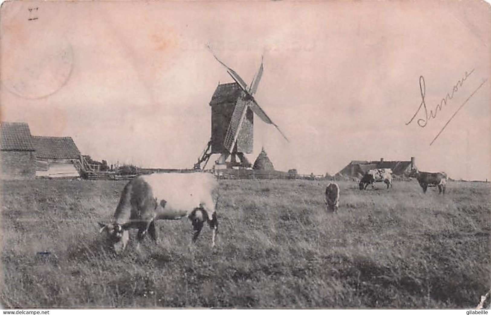 De Haan - Le Coq : Paysage - Landschap Met De Molen - Moulin A Vent-  1906 - De Haan