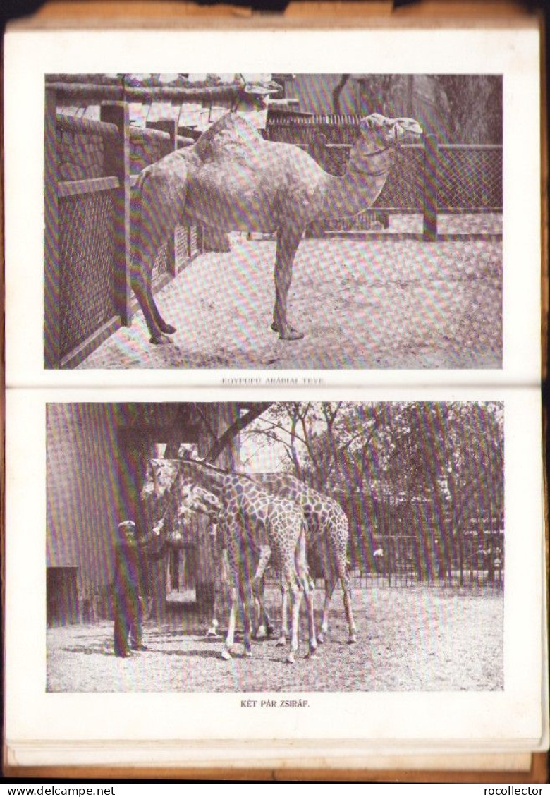 A budapesti állatkert útmutatója, 1917, Budapest 714SPN