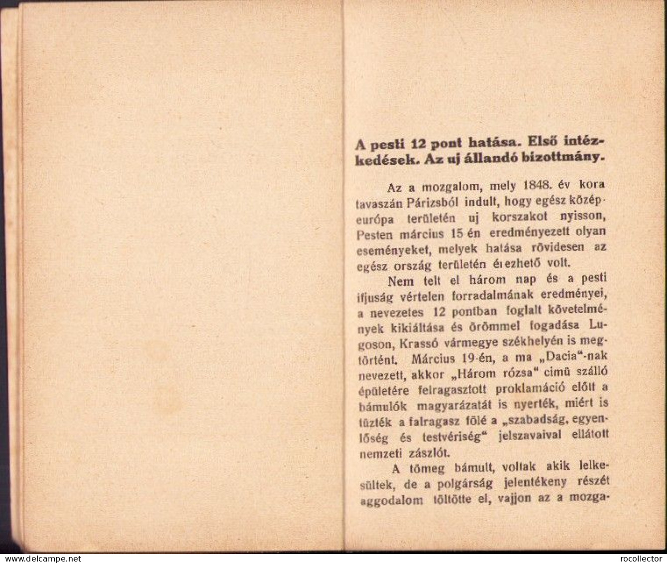 Az 1848 év Eseményei Krassó Vármegyében, 1928 C4240N - Libros Antiguos Y De Colección