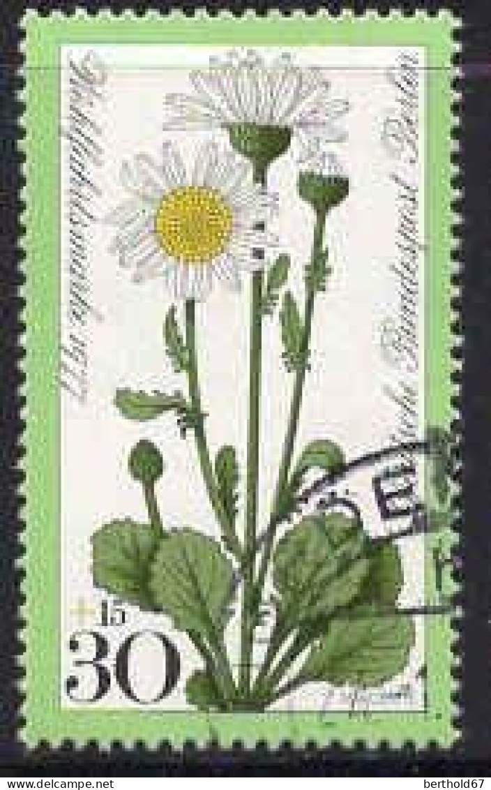 Berlin Poste Obl Yv:518 Mi:556 Chrysanthemum Leucanthemum (Beau Cachet Rond) - Gebraucht