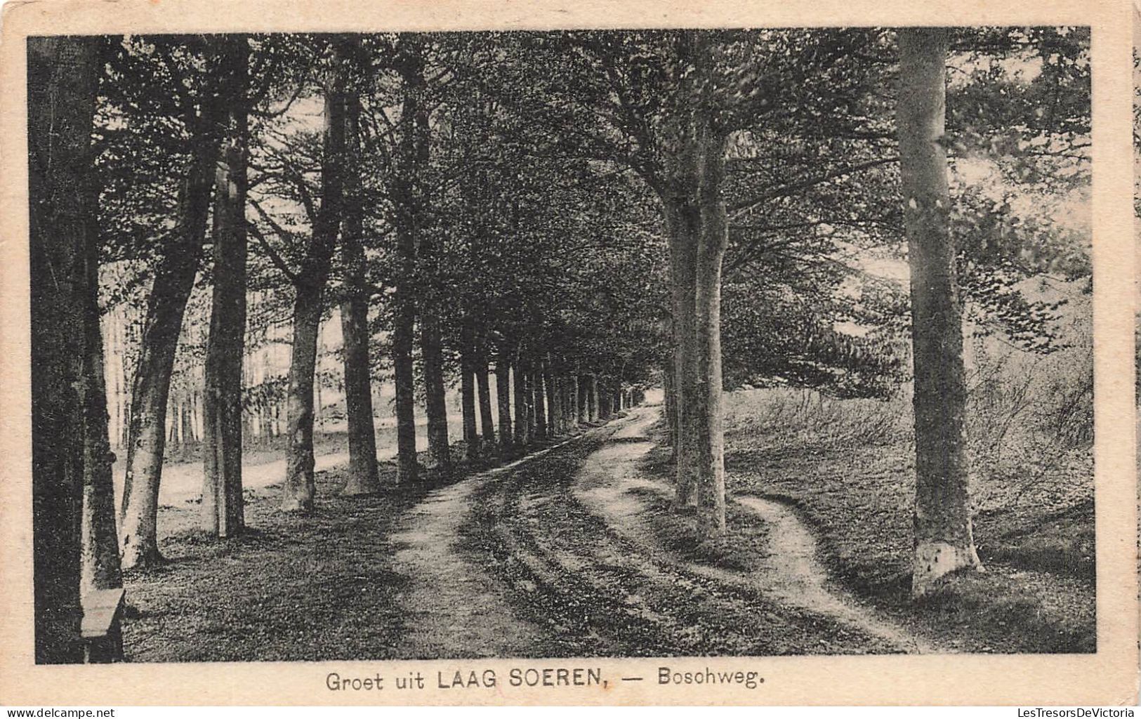PAYS BAS - Groet Uit Laag Soeren -  Bosohweg - Carte Postale Ancienne - Other & Unclassified