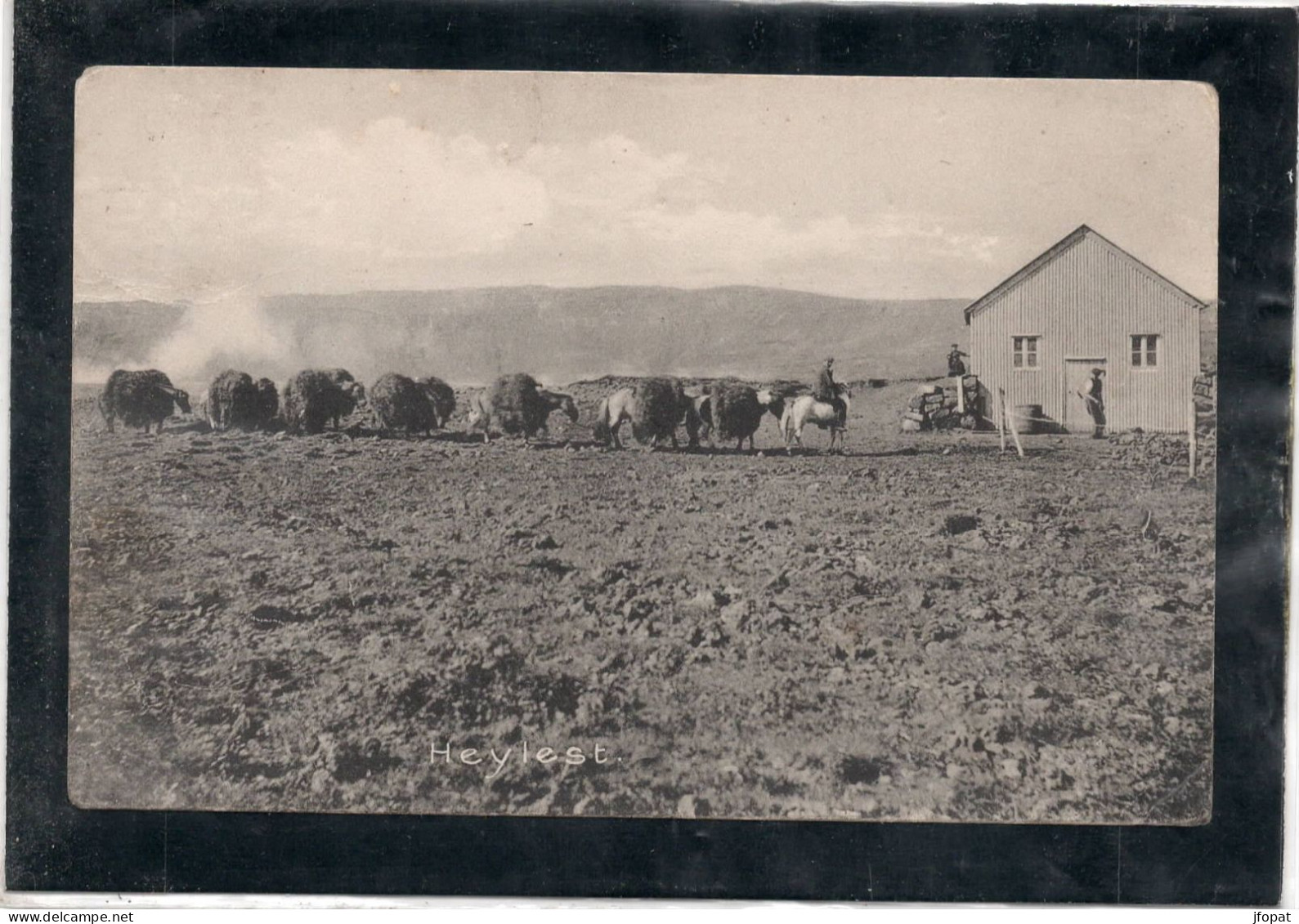 ISLANDE - HEYLEST Retour De Fenaison (voir Description) - Islanda