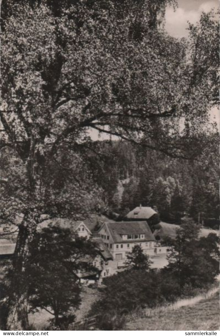 54905 - Dobel - Eynchmühle - Ca. 1955 - Calw