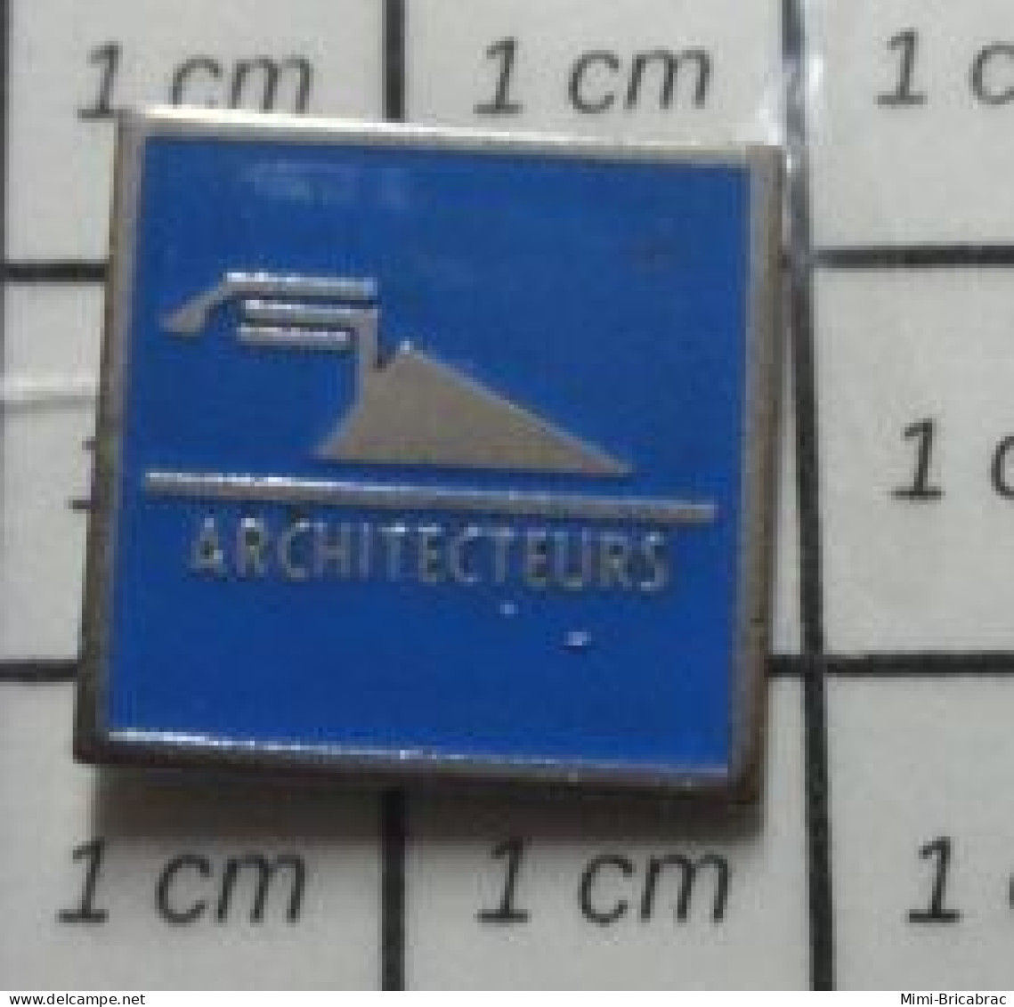 422 Pin's Pins / Beau Et Rare / MARQUES / Adieu Monde Truel ! ARCHITECTEURS TRUELLE - Marques