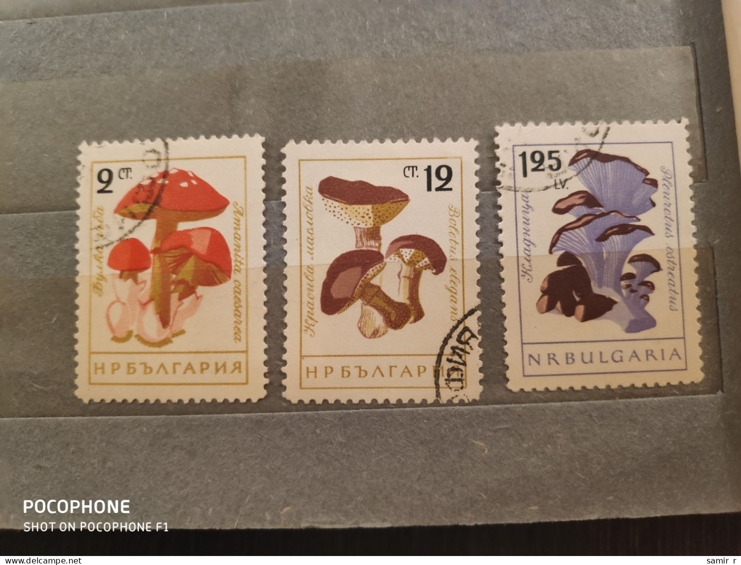 Bulgaria	Mushrooms (F85) - Used Stamps