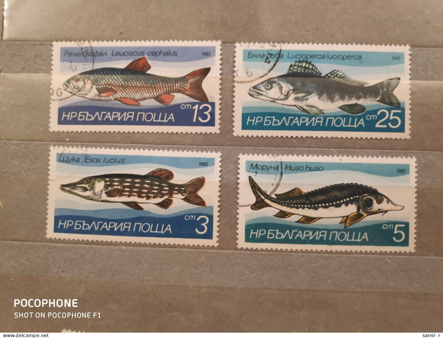 1983	Bulgaria	Fishes (F85) - Used Stamps