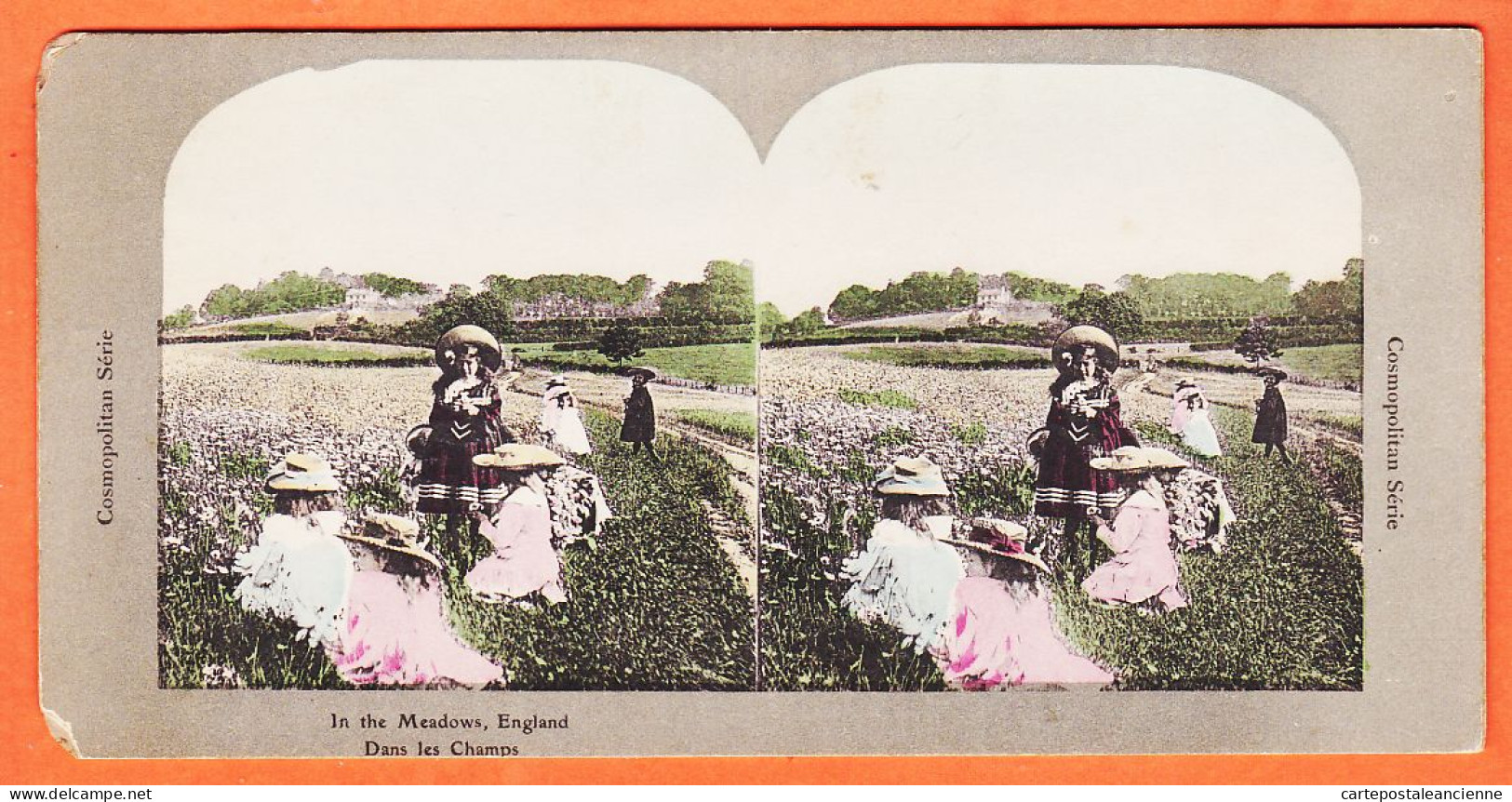 04575 / ENGLAND In The Meadows ANGLETERRE Dans Les Champs 1890s Stereo-Views COSMOPOLITAN Serie - Stereoscopio