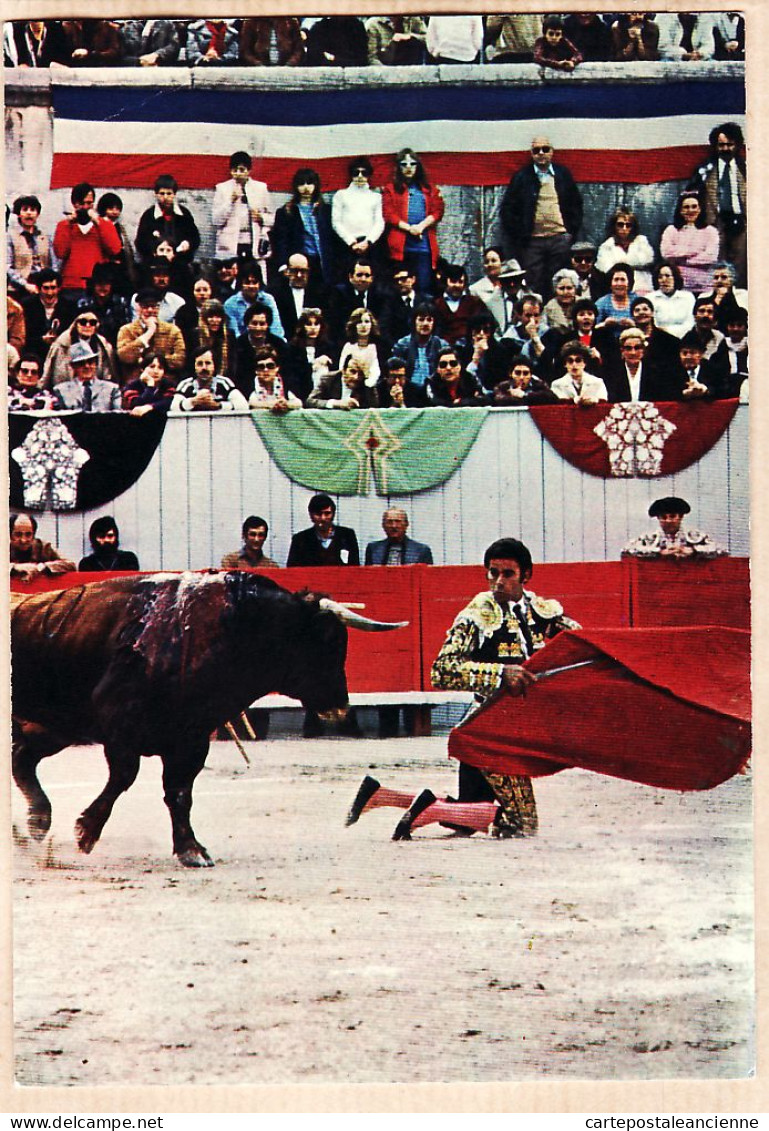 04776 / CORRIDA De TOROS Passe De Muleta à Genoux Francisco PAQUIRI Cliché Robert BOYMOND Cptau - Stierkampf