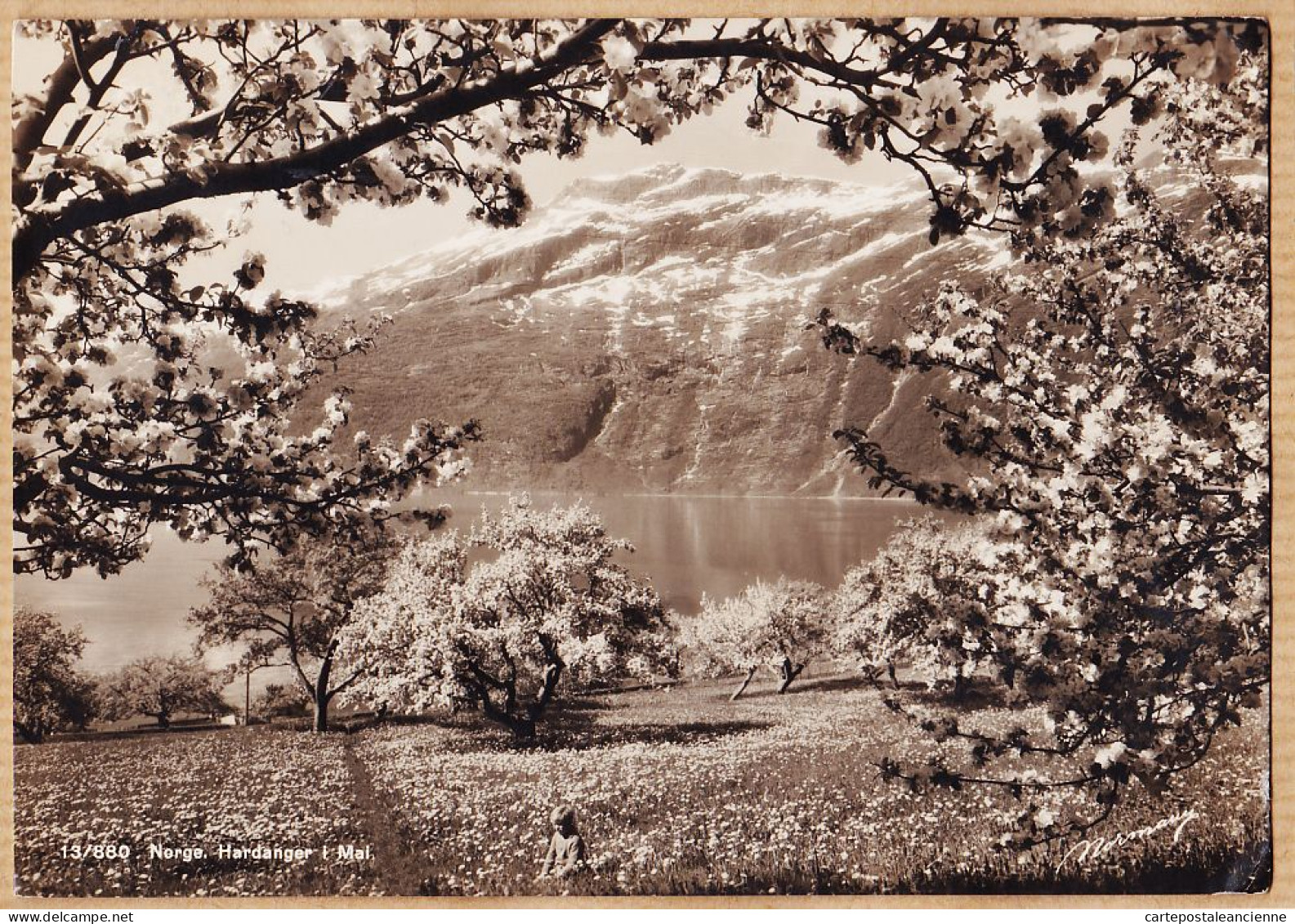 04632 / Norge Hardanger I Mai Norway Printemps Arbres En Fleurs ODDA 20-08-1938 Carl NORMANNS Kunstforlag - Norvège