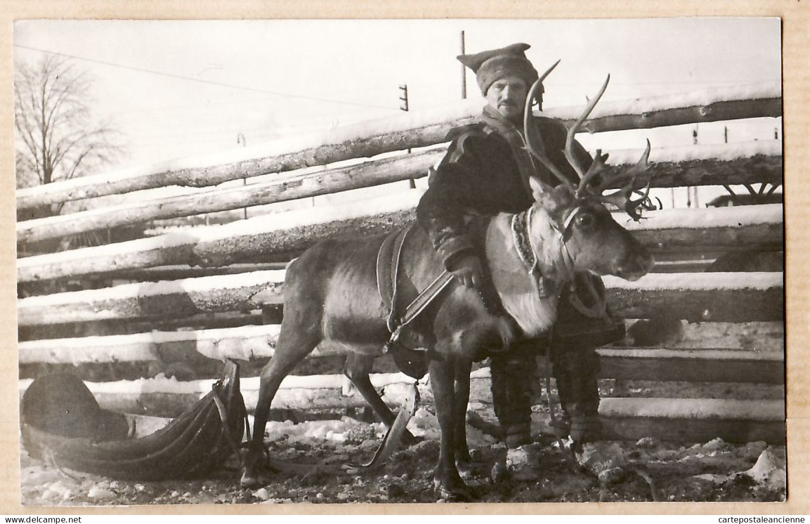 04705 / Rare Ethnic LAPONIE Finland 1934 Fotokaart Kortcentralen KORTTIKESKUS Lappland Traineau Eleveur Renne SUOMI  - Finlandia