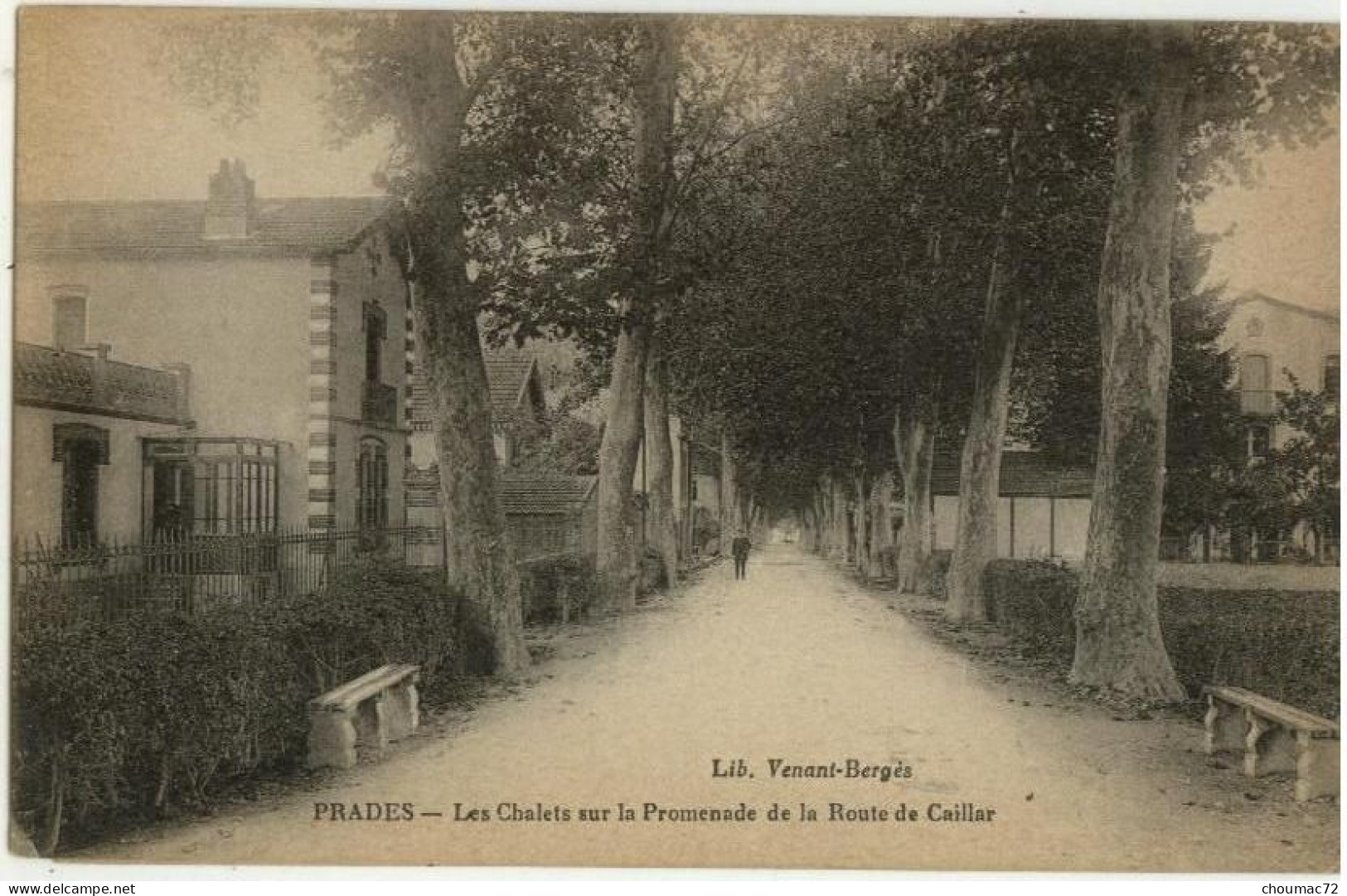 (66) 034, Prades, Venant Bergès, Les Chalets Sur La Promenade De La Route De Caillar - Prades