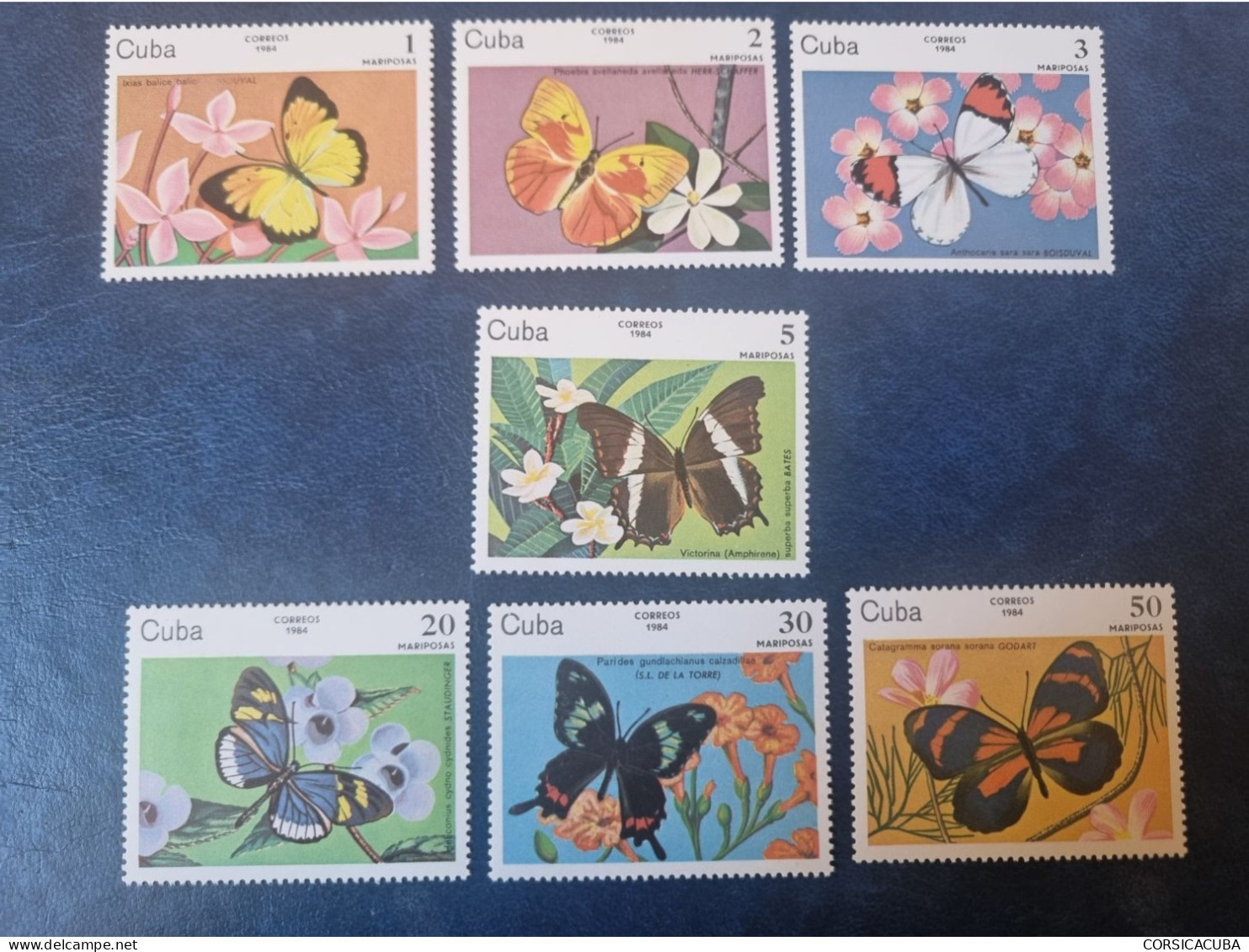 CUBA  NEUF   1984   MARIPOSAS  //  PARFAIT  ETAT  //  1er  CHOIX  // - Unused Stamps
