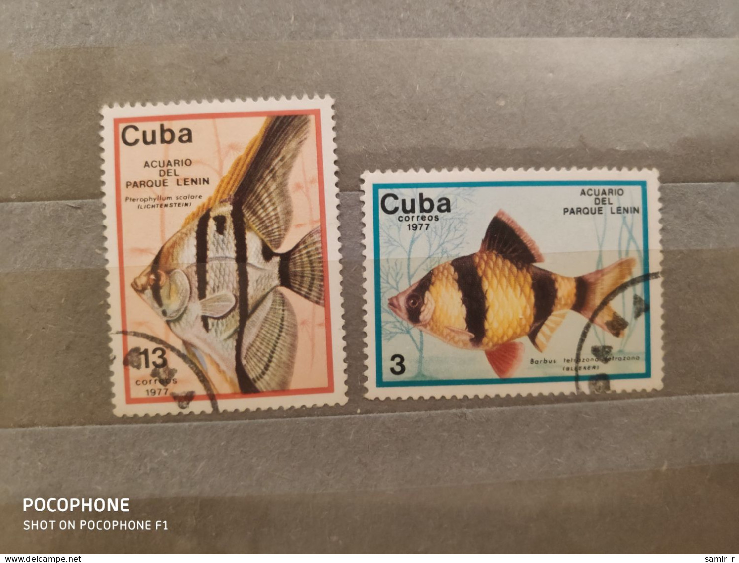 1977	Cuba	Fishes (F85) - Used Stamps