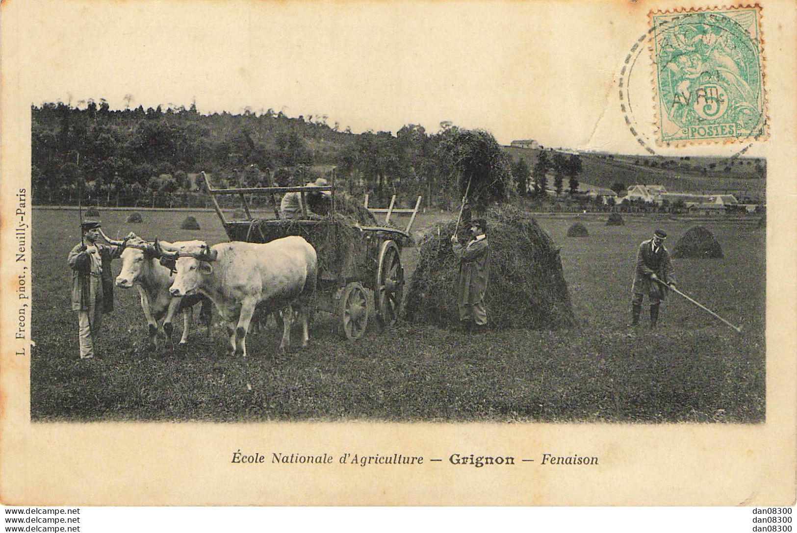 78 ECOLE NATIONALE D'AGRICULTURE DE GRIGNON FENAISON ATTELAGE DE BOEUFS - Attelages