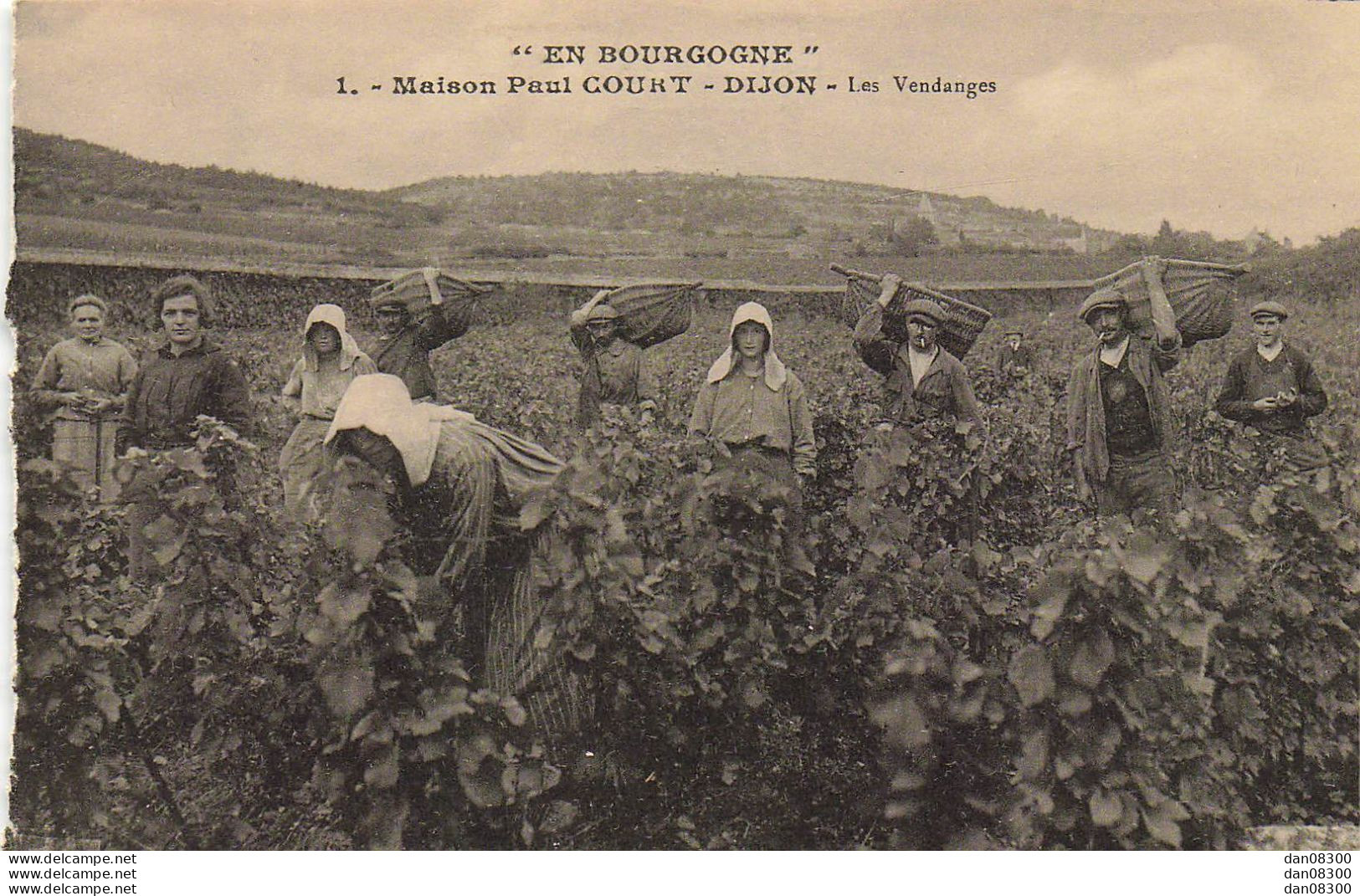 21 MAISON PAUL COURT DIJON LES VENDANGES - Landwirtschaftl. Anbau