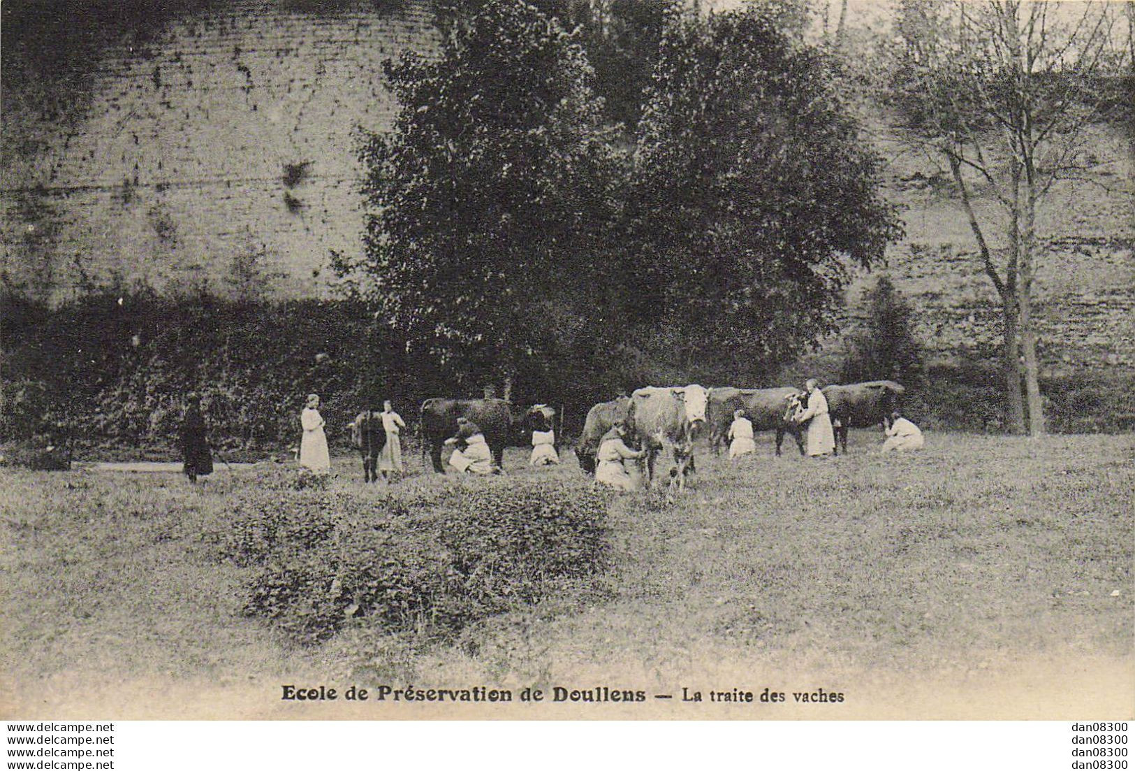 RARE  80 ECOLE DE PRESERVATION DE DOULLENS LA TRAITE DES VACHES - Doullens