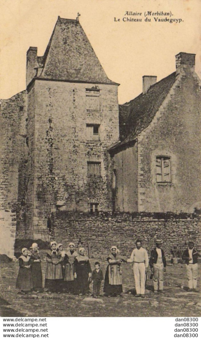 56 ALLAIRE LE CHATEAU DU VAUDEGUYP - Allaire