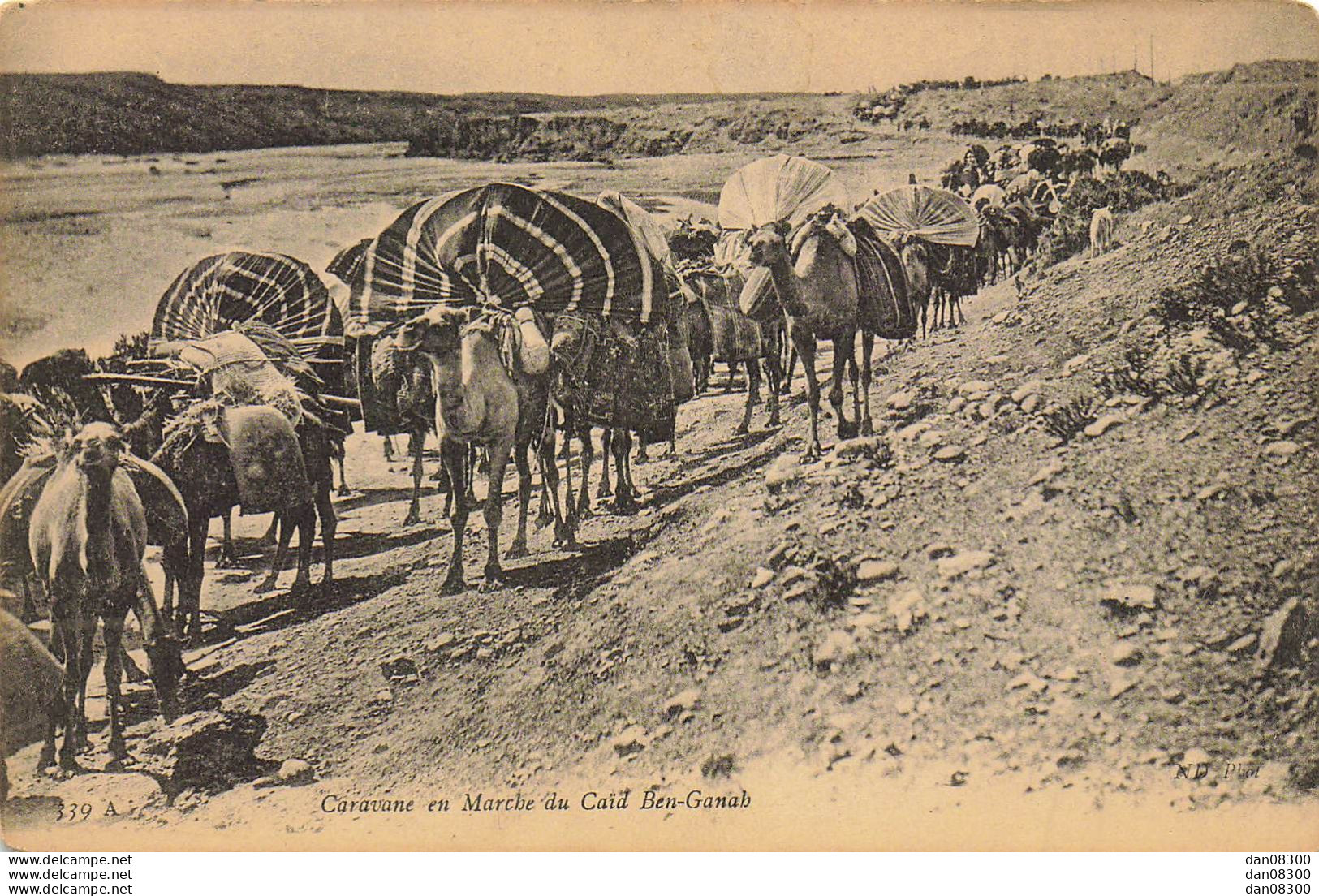 CARAVANE EN MARCHE DU CAID BEN GANAH CARTE N° 339 A - Scènes & Types