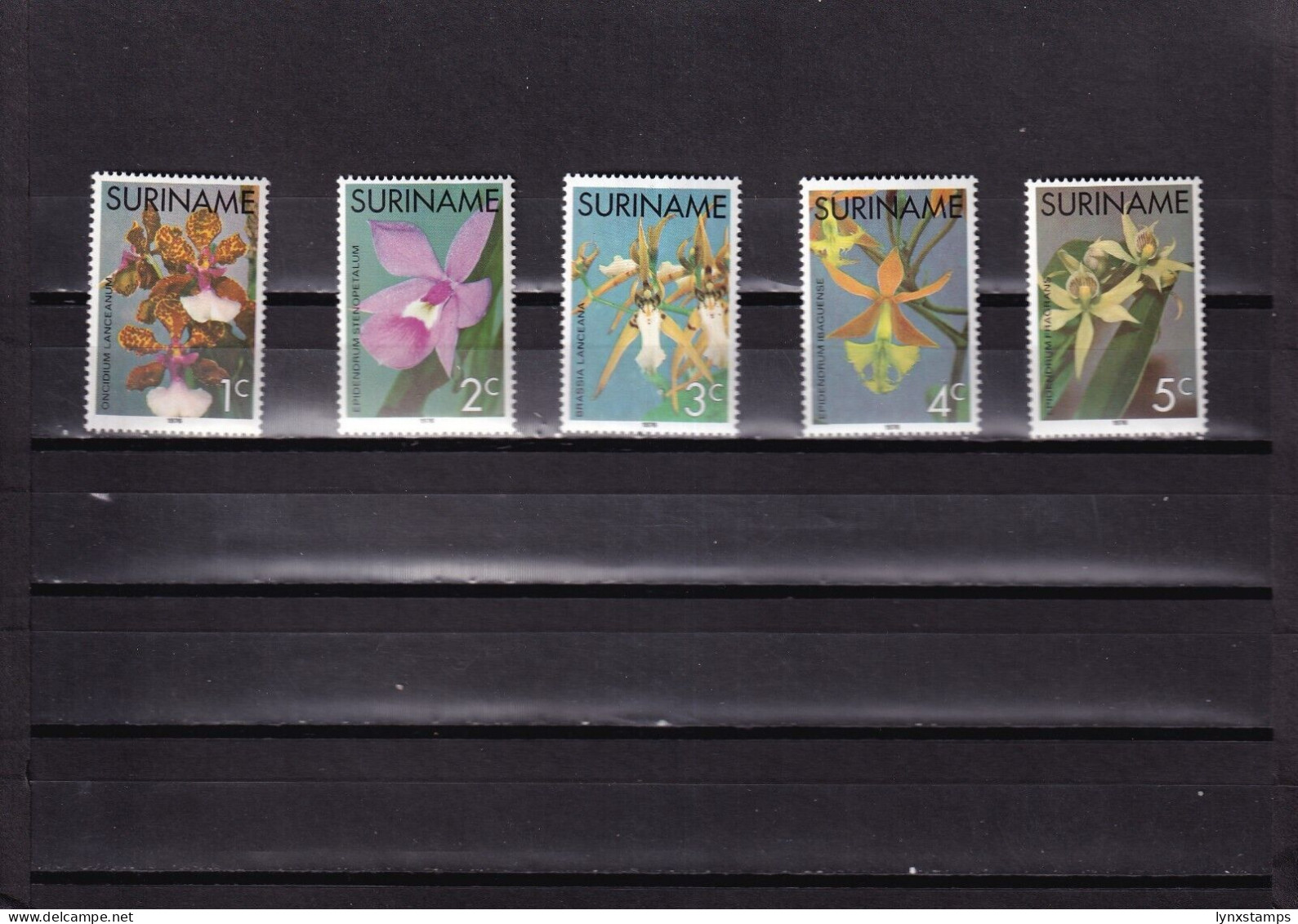 ER03 Suriname 1976 Orchids MNH Stamps - Orchidées