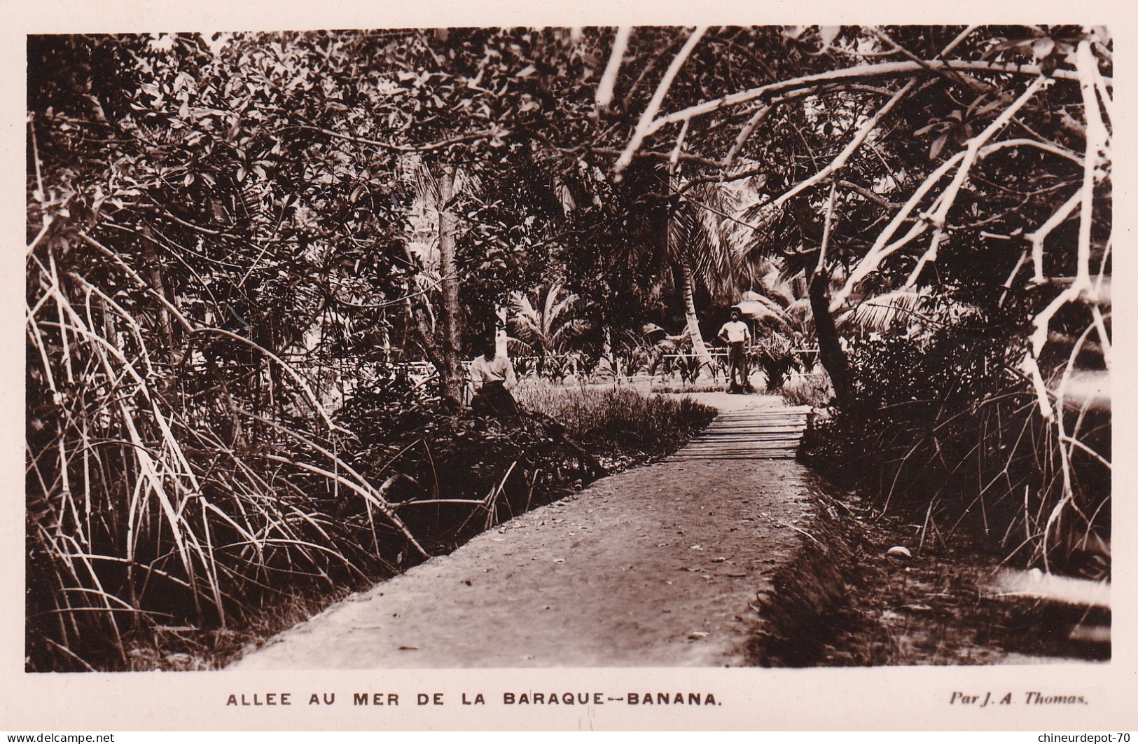 ALLEE AU MER DE LA BARAQUE BANANA  Par J A Thomas - Belgisch-Kongo