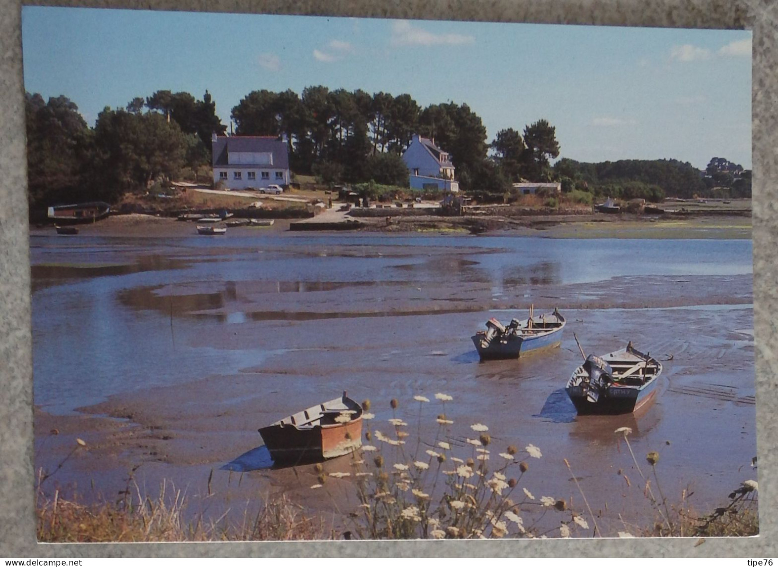 56 Morbihan CPM Arradon Marée Basse Dans Le Golfe - Arradon