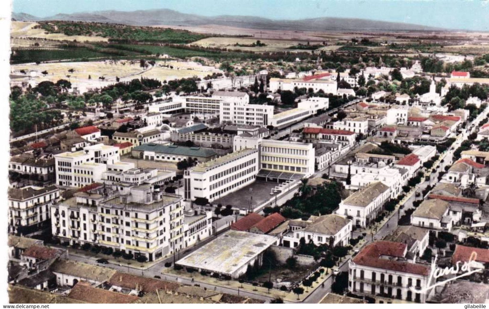 Algerie - ORLEANSVILLE ( Chlef ) - Vue Panoramique Et Quartier Des Ecoles - Chlef (Orléansville)