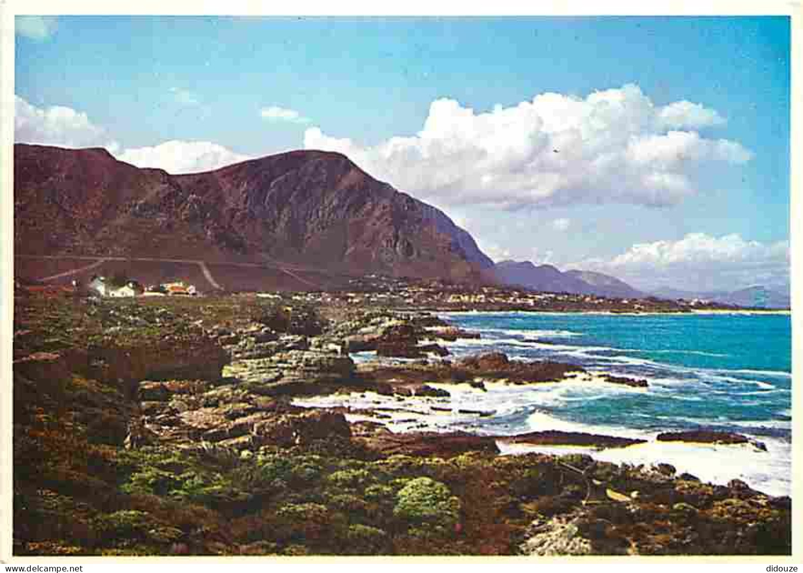 Afrique Du Sud - South Africa - A Well Known And Fishing Resort - Hermanus - Cape - CPM - Voir Scans Recto-Verso - Zuid-Afrika
