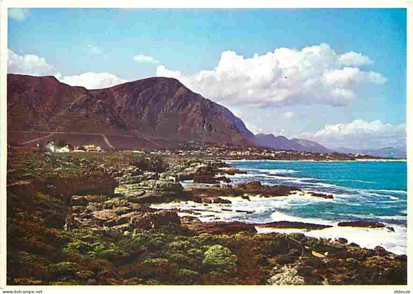 Afrique Du Sud - South Africa - A Well Known And Fishing Resort - Hermanus - Cape - CPM - Voir Scans Recto-Verso - Afrique Du Sud