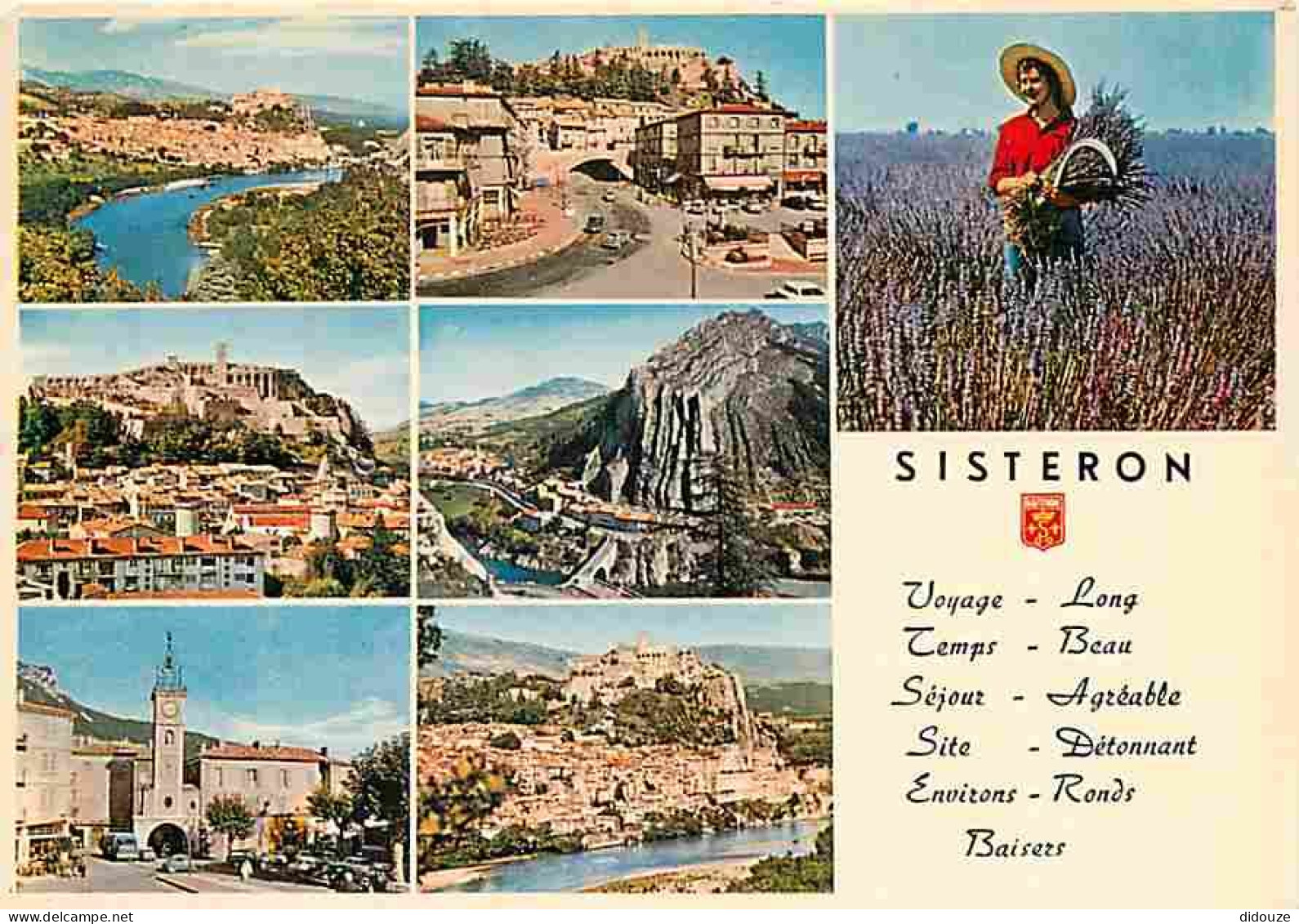 04 - Sisteron - Multivues - Champs De Lavande - CPM - Voir Scans Recto-Verso - Sisteron