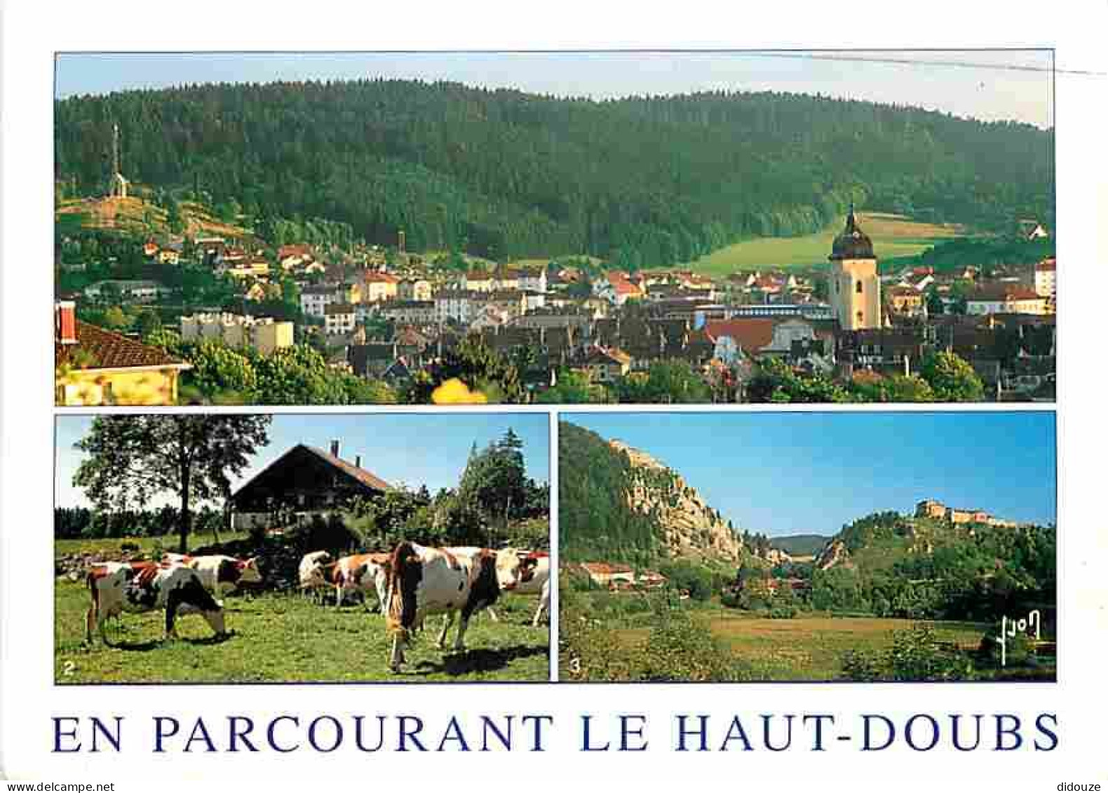 Animaux - Vaches - Haut Doubs - Multivues - Flamme Postale - CPM - Voir Scans Recto-Verso - Vaches