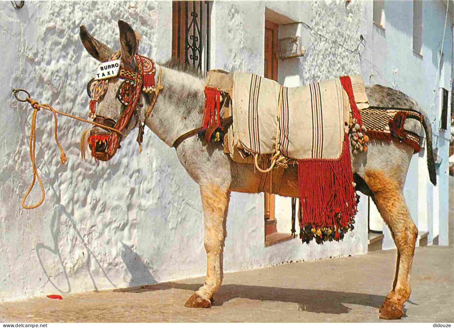 Animaux - Anes - Espagne - Espana - Tipico Burro-Taxi - CPM - Voir Scans Recto-Verso - Donkeys