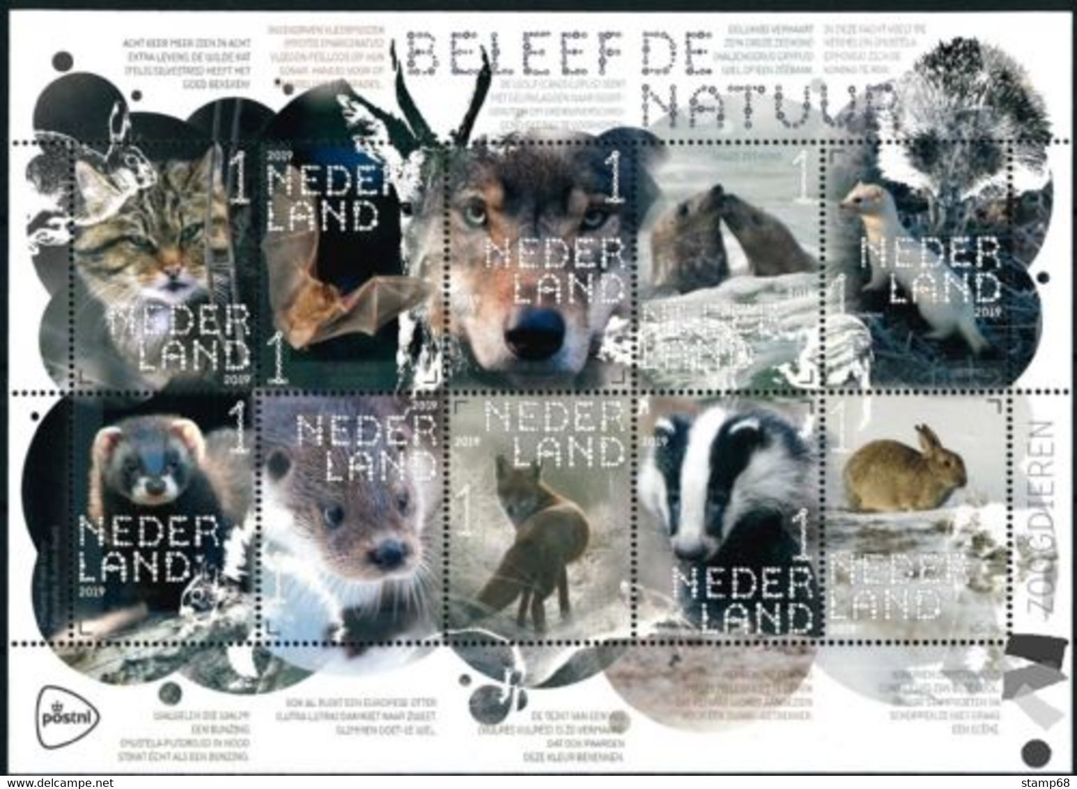 Nederland NVPH 3711-20 V3711-20 Vel Beleef De Natuur Zoogdieren 2019 Postfris MNH Netherlands Fauna - Unused Stamps