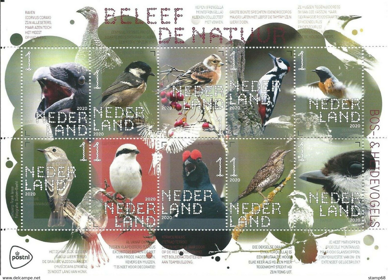 Nederland NVPH 3865-74 V3865-74 Vel Beleef De Natuur Heidevogels 2020 Postfris MNH Netherlands Fauna Birds - Unused Stamps