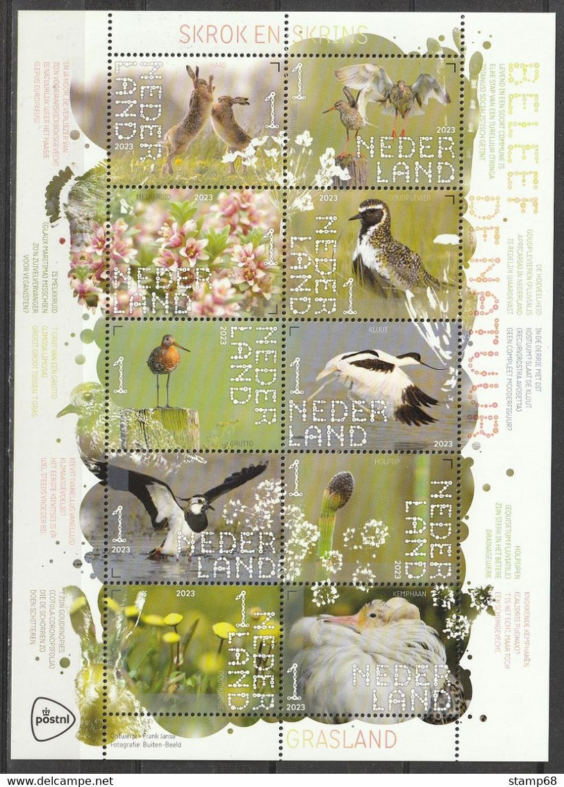 Nederland NVPH 2023 Vel Beleef De Natuur Skrok En Skrins 2023 MNH Postfris Birds, Oiseaux - Neufs