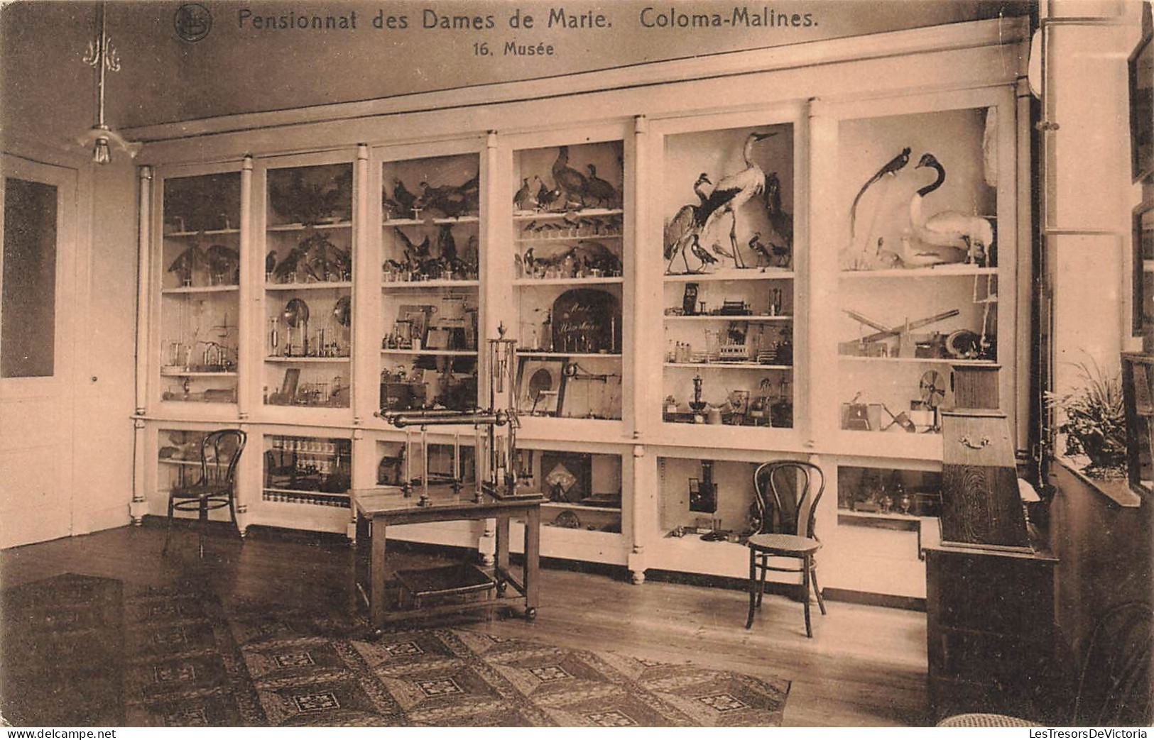 BELGIQUE - Malines - Pensionnat Des Dames De Marie - Coloma - Musée - Carte Postale Ancienne - Mechelen