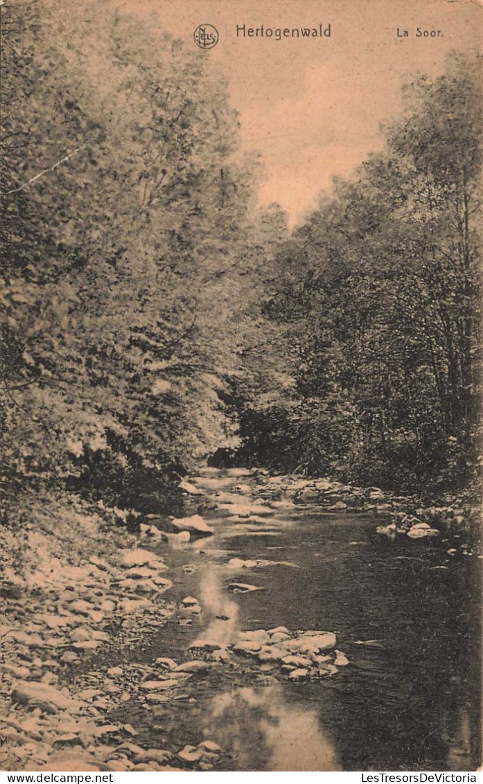 BELGIQUE - Hertogenwald - La Soor - Carte Postale Ancienne - Autres & Non Classés