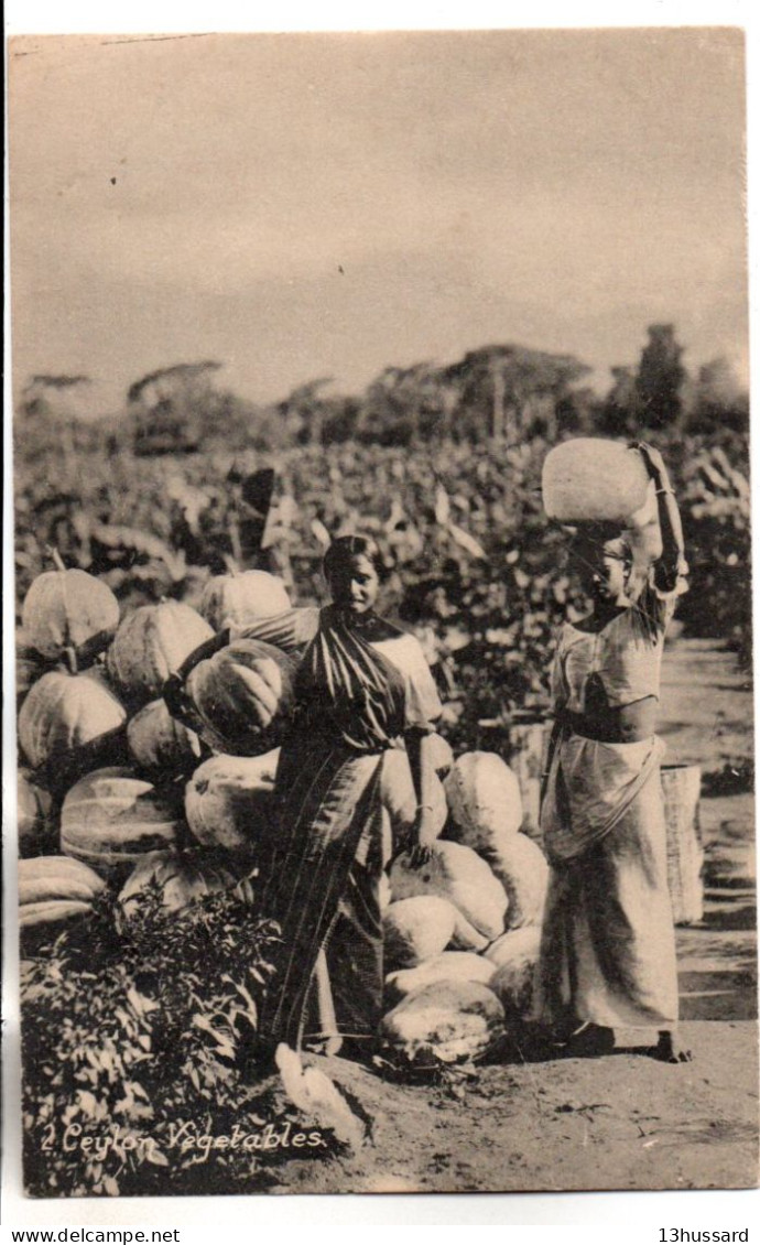 Carte Postale Ancienne Ceylan - Vegetables - Sri Lanka (Ceilán)