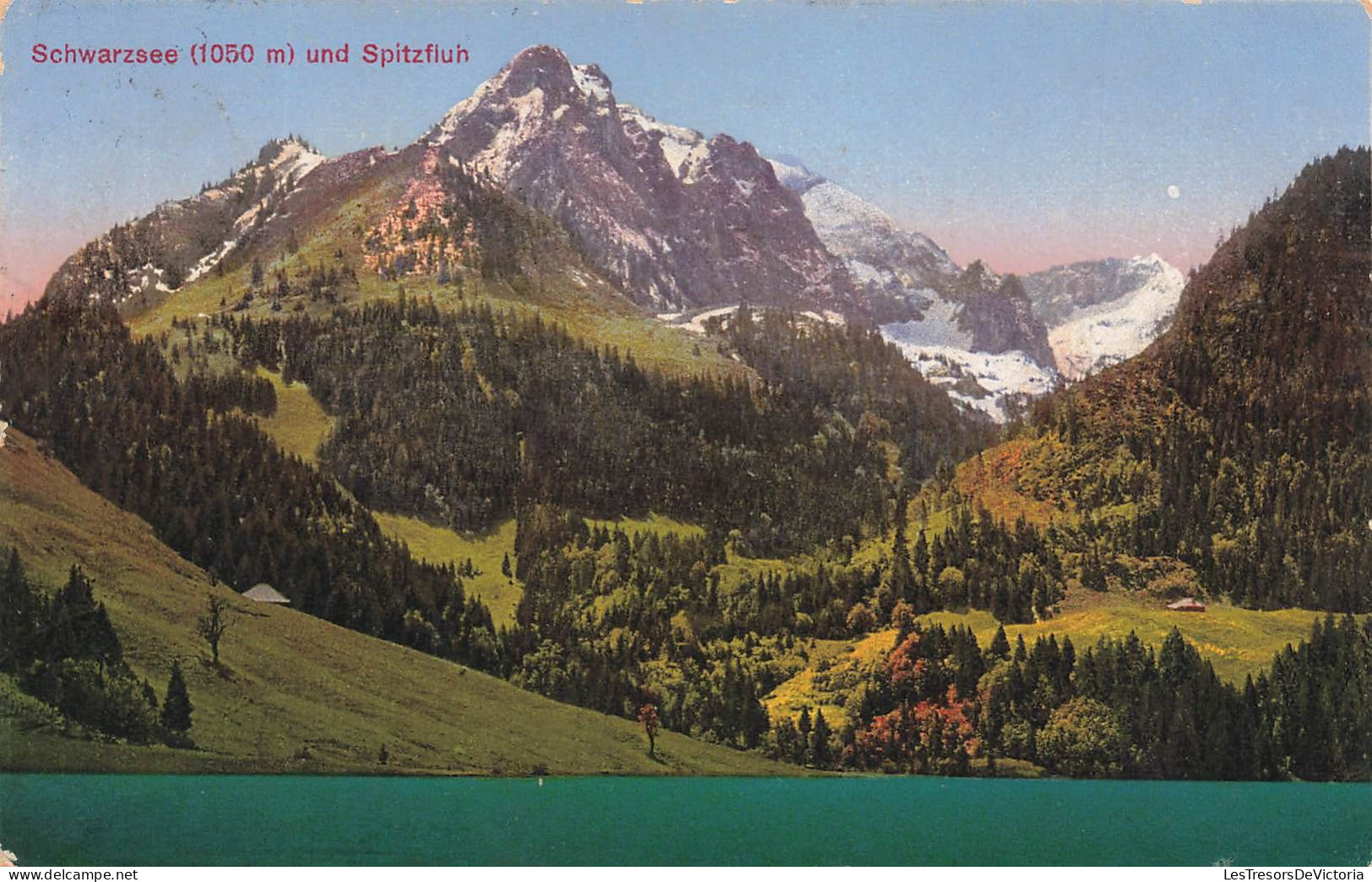 SUISSE - Schwarzsee - Spitzfluh - Carte Postale Ancienne - Autres & Non Classés