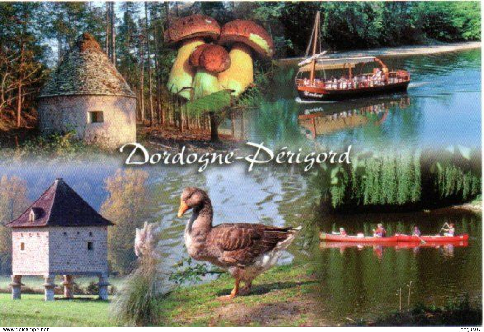 Dordogne-Périgord - Champignon, Cèpes. Borie. Pigeonnier. Gabarre Et Canoë Kayak. Oie - Editions MARCOU N° 24996 - Funghi