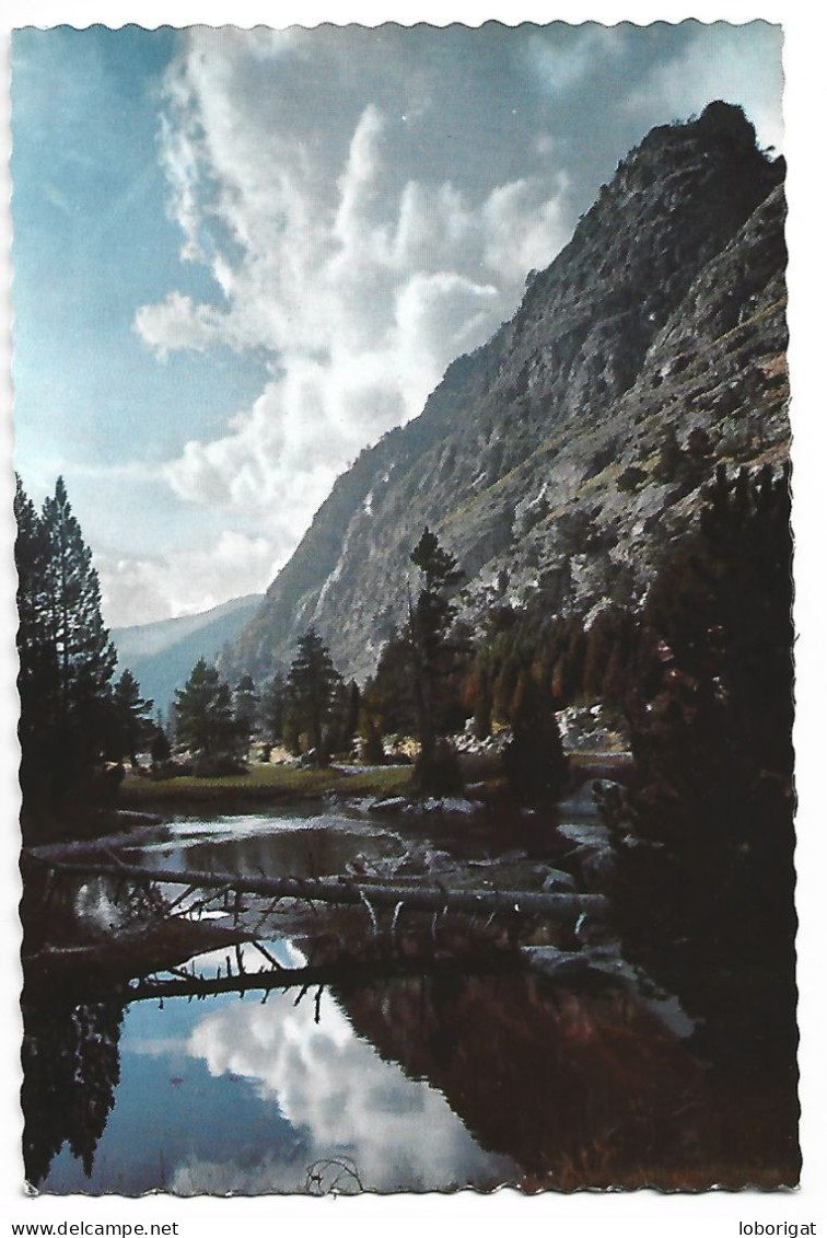 PARQUE NACIONAL "AIGUES TORTES" / PARC NATIONAL "AIGUES TORTES ".- PIRINEU CATALA.-  VALL DE BOHI - LLEIDA.- (CATALUNYA) - Lérida