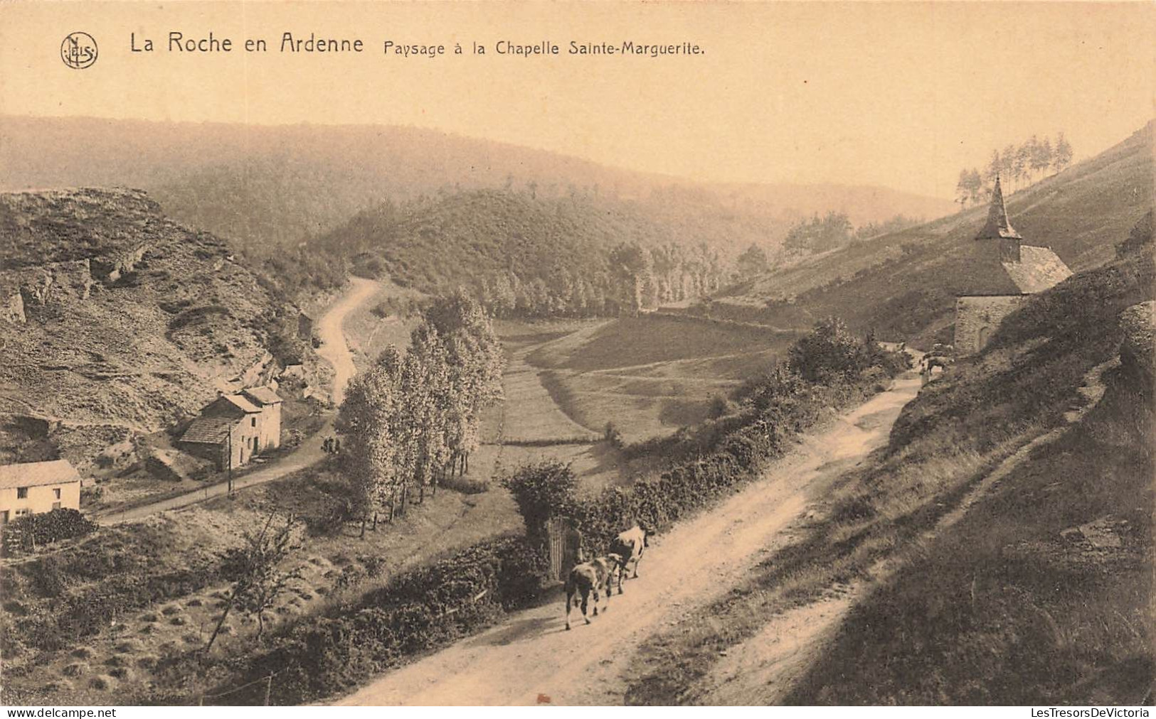 BELGIQUE - La Roche En Ardenne - Paysage à La Chapelle Sainte Marguerite - Carte Postale Ancienne - La-Roche-en-Ardenne