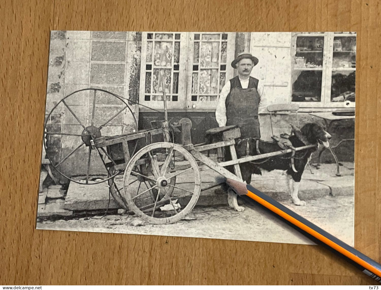 U1547 - Photos De La France D'autrefois - Les Curieux Attelages - Un Rémouleur - Artisanat Attelage à Chien - Bauern