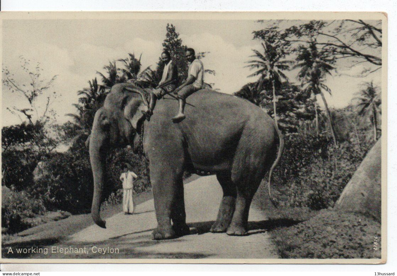 Carte Postale Ancienne Ceylan - A Working Elephant - Sri Lanka (Ceilán)