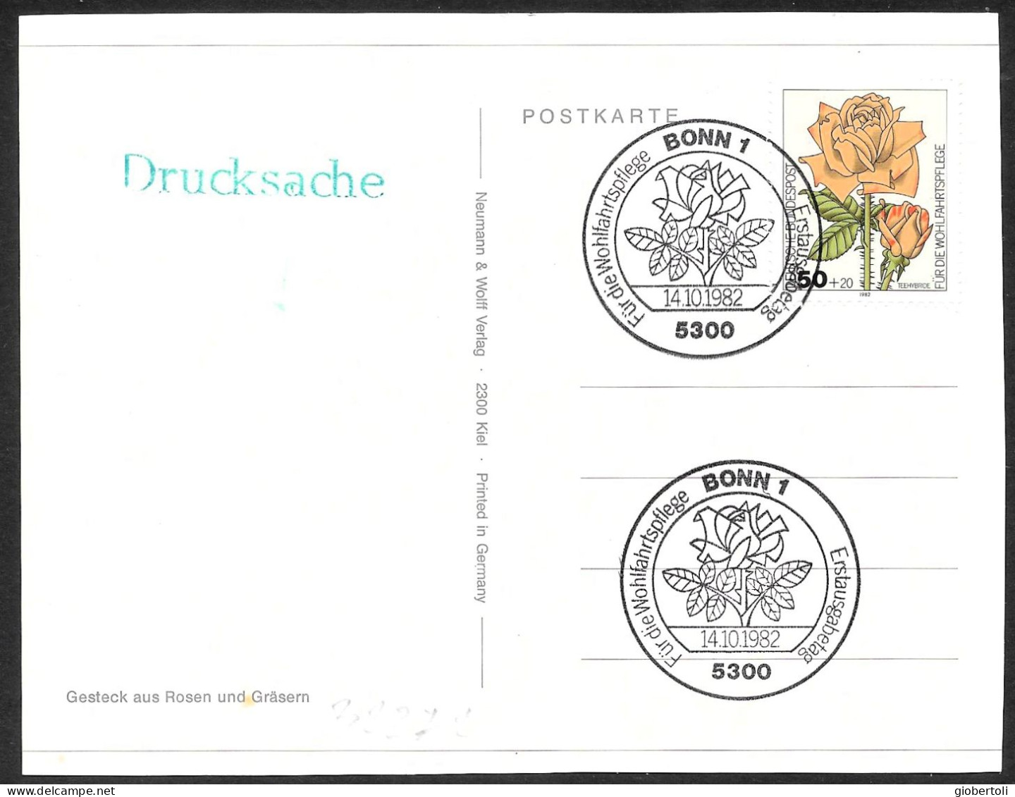 Germania/Germany/Allemagne: Rosa, Rose - Rose