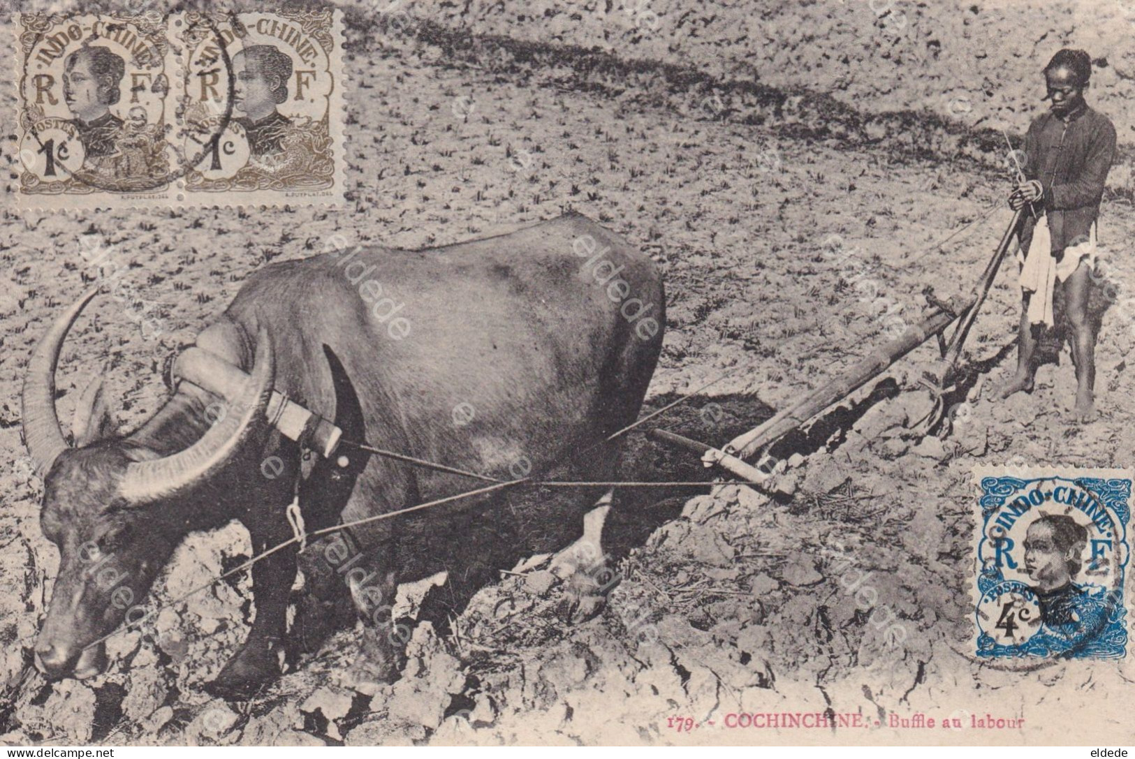 Buffle Au Labour Indochine Buffalo Ploughing 3 Timbres Non Voyagé - Cultures