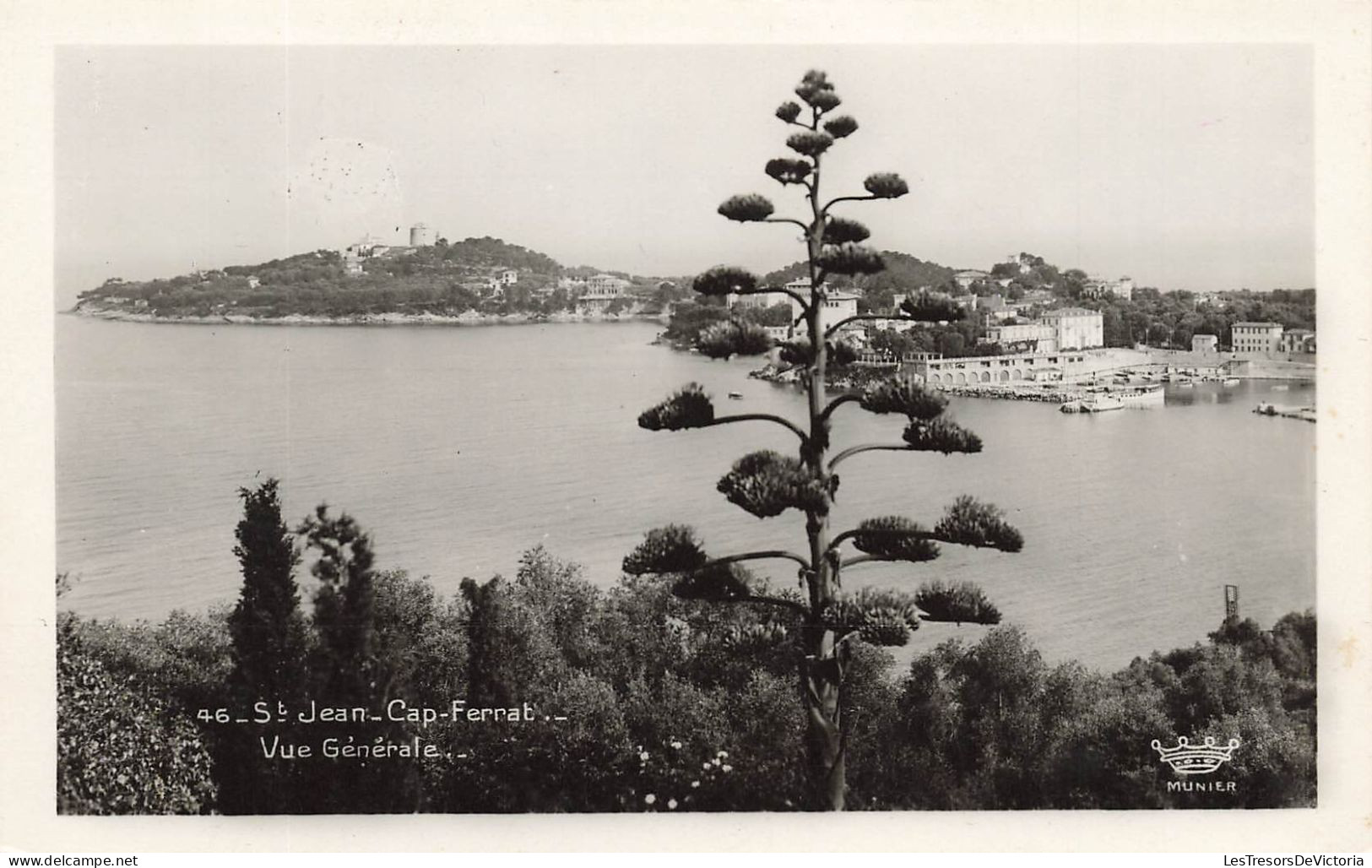 FRANCE - St Jean Cap Ferrat - Vue Générale - Vue Sur La Mer - Vue Sur La Ville Au Loin - Carte Postale Ancienne - Saint-Jean-Cap-Ferrat